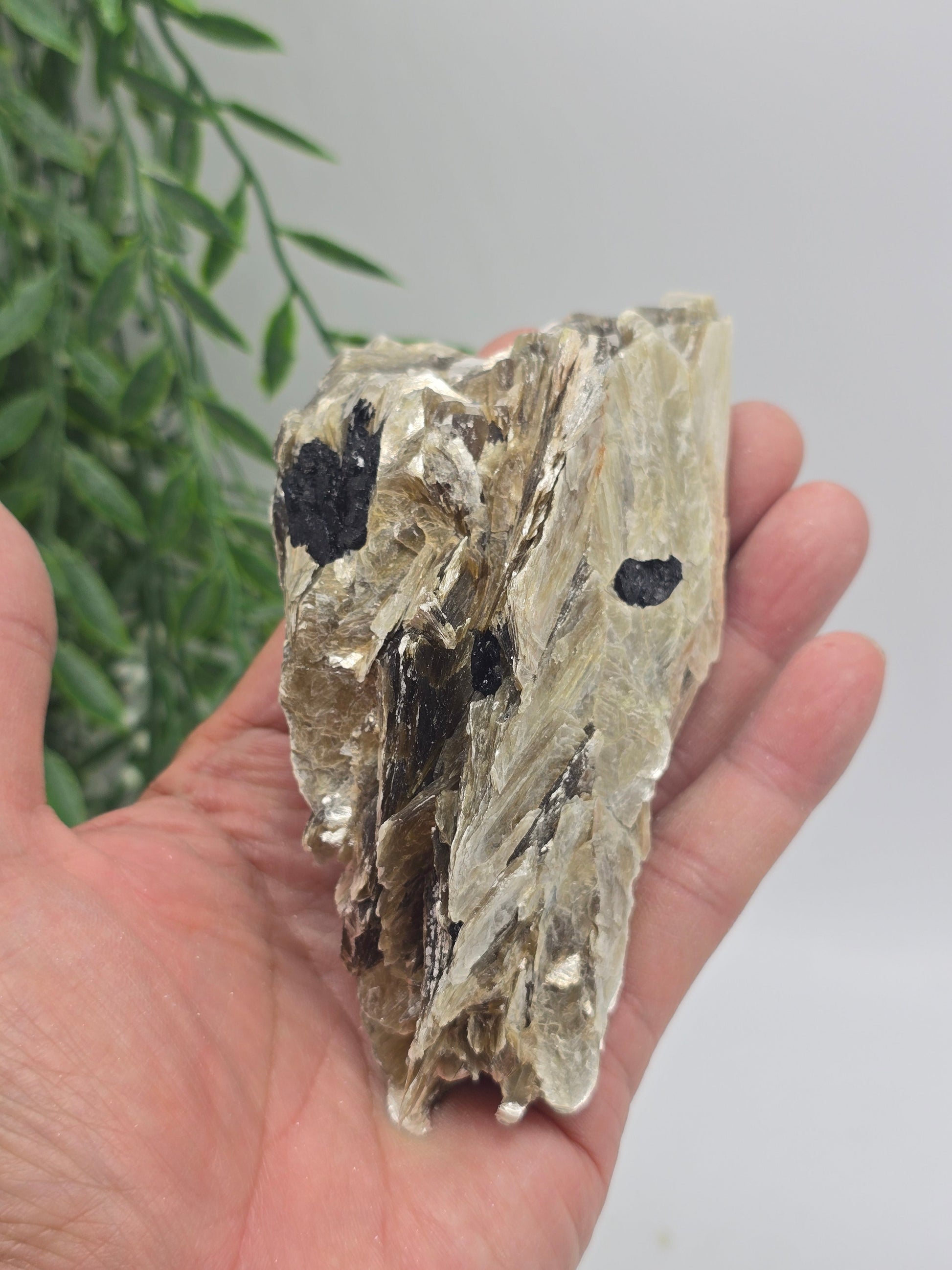 Rare Mica with Black Tourmaline – 13x7x4cm | 0.4kg Crystal Wellness