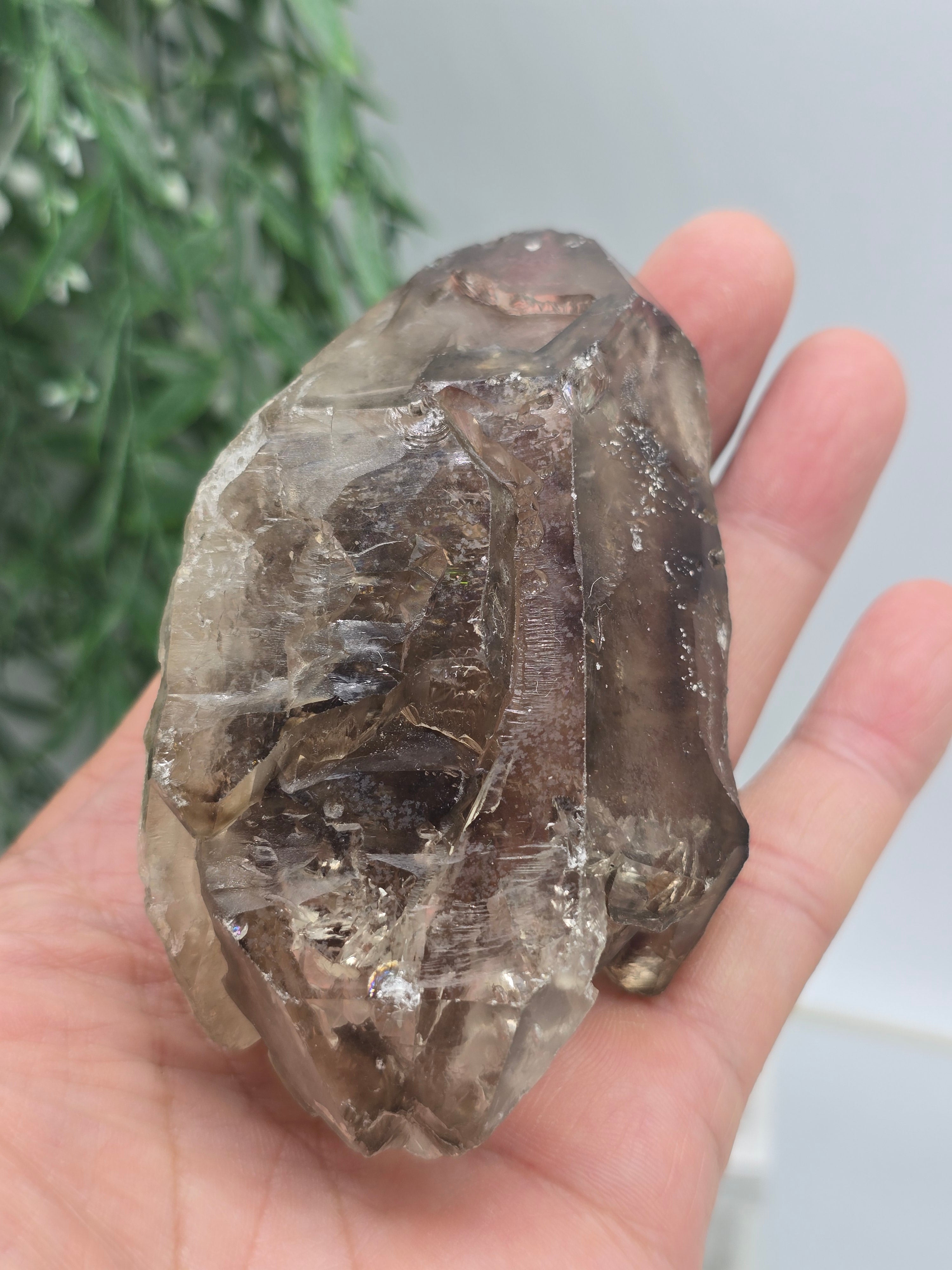Elestial Quartz Specimen 10 × 6 × 5 cm (Stone of Ancient Wisdom & Spiritual Ascension) Crystal Wellness