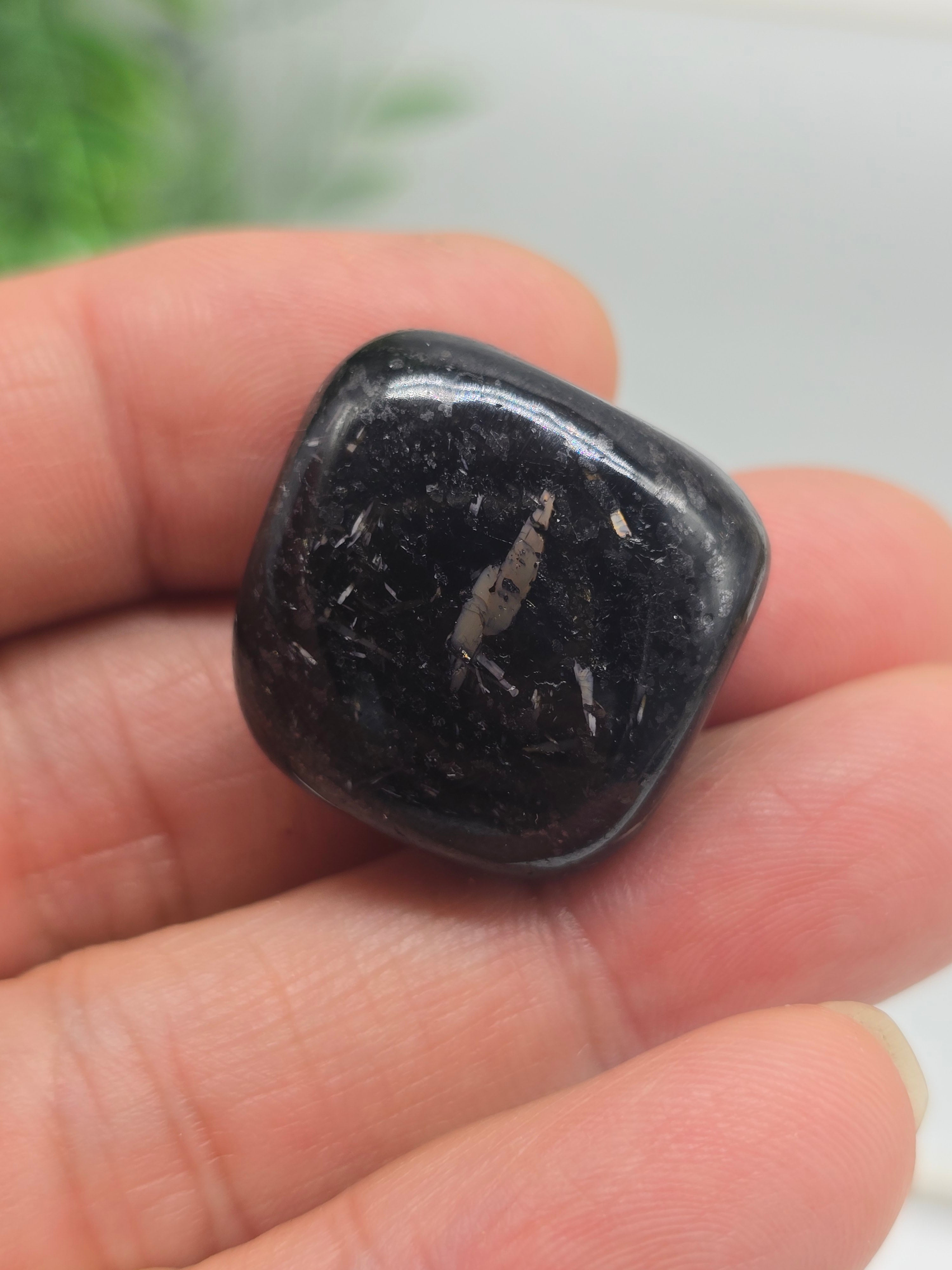 Genuine Nuumite Tumbled Stone (Stone of Ancient Protection & Personal Power) Crystal Wellness