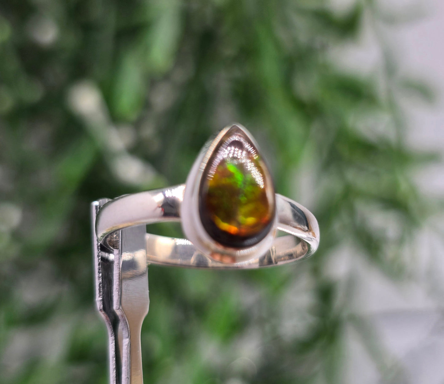 🌈 Canadian Ammolite 925 Sterling Silver Ring – Size 10 | Stone of Transformation, Prosperity & Ancient Earth Energy Crystal Wellness