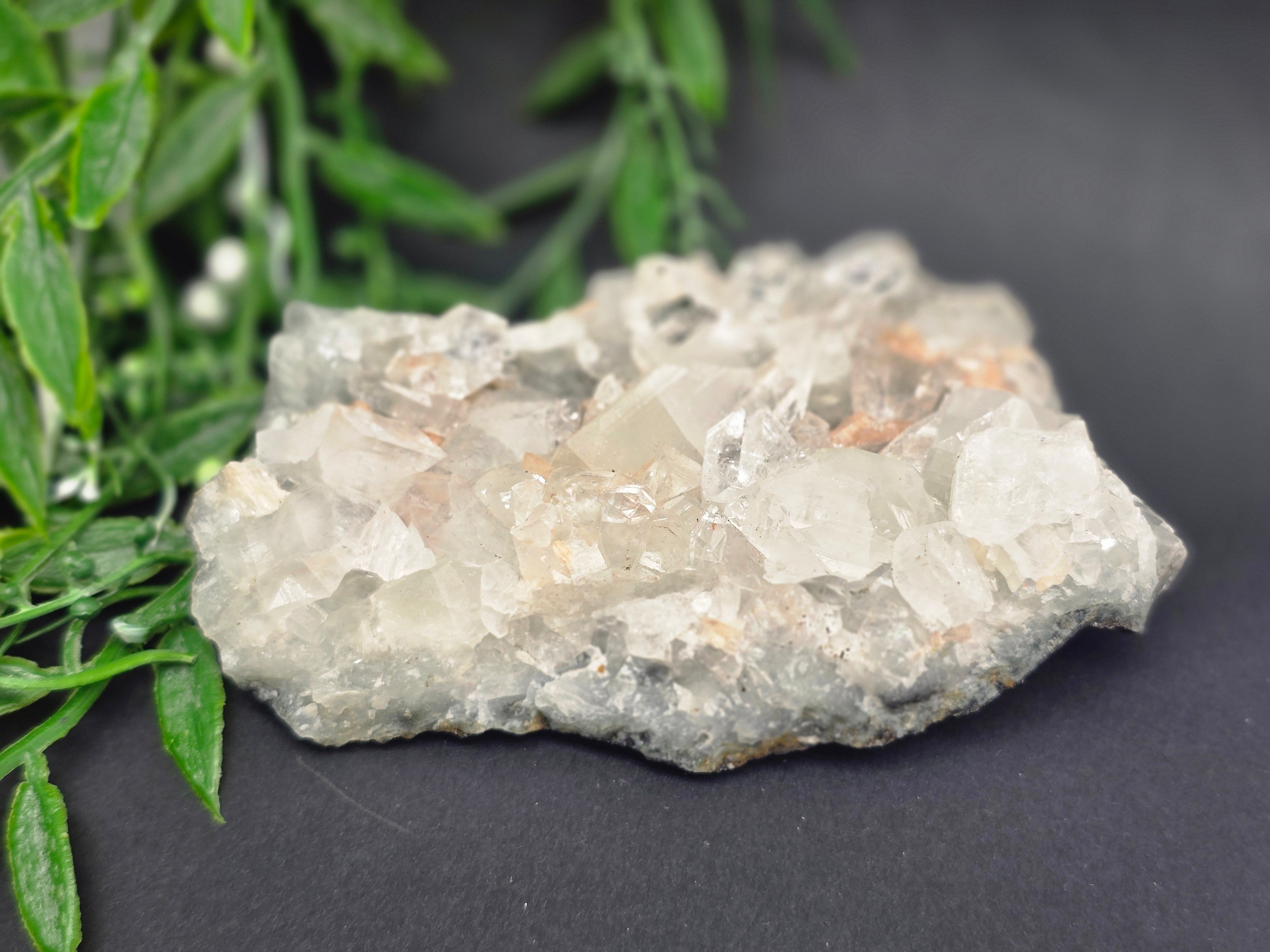 Apophyllite #5 Crystal Wellness