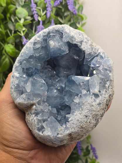 Celestite Geode High Grade – Stone of Divine Peace, Angelic Connection & Inner Harmony | 2.2kgs Crystal Wellness
