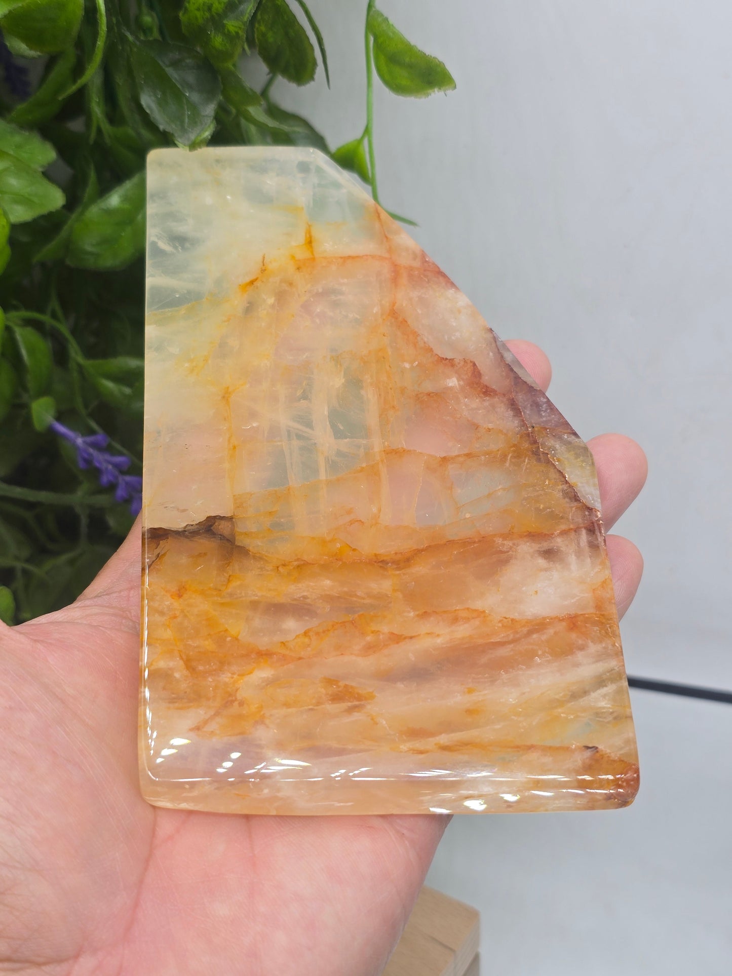 Golden Healer Quartz Freeform Slab (Stone of Wholeness & Manifestation) Crystal Wellness