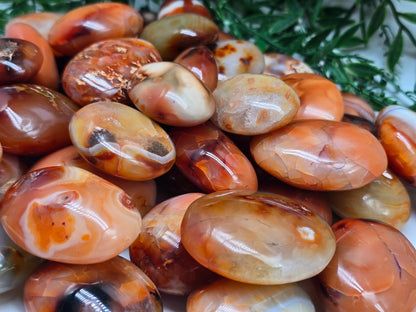 Premium Madagascar Carnelian Palmstone — Stone of Vitality, Courage & Motivation Crystal Wellness