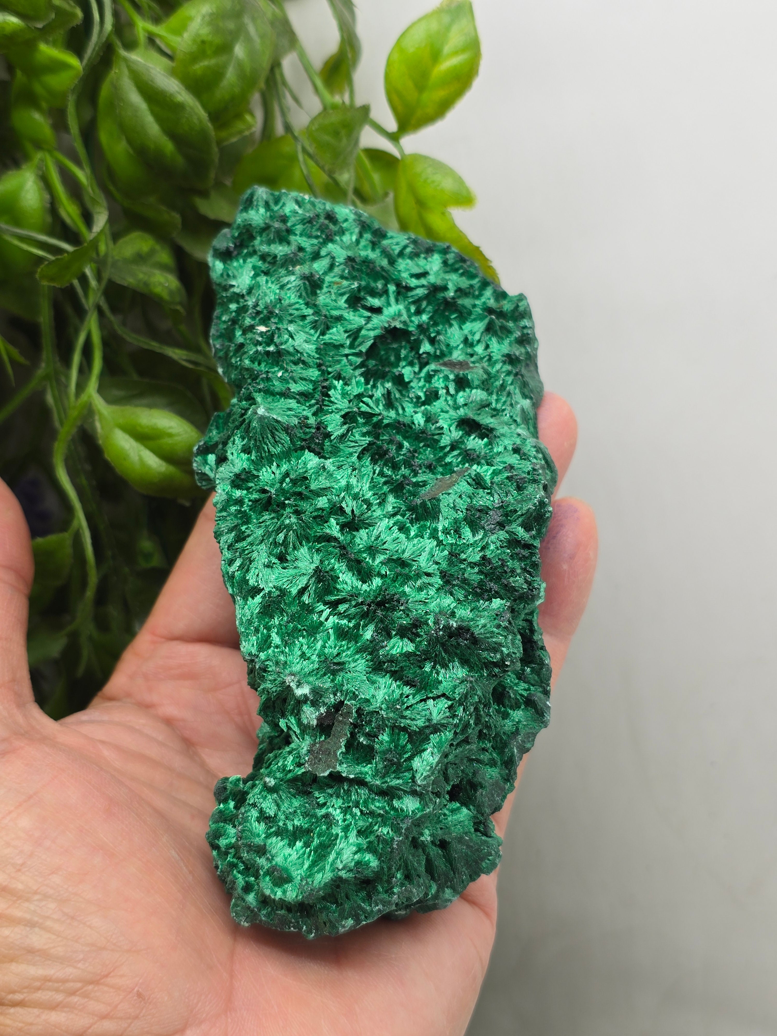 Fibrous Malachite Specimen 415g (Stone of Deep Transformation & Protection)