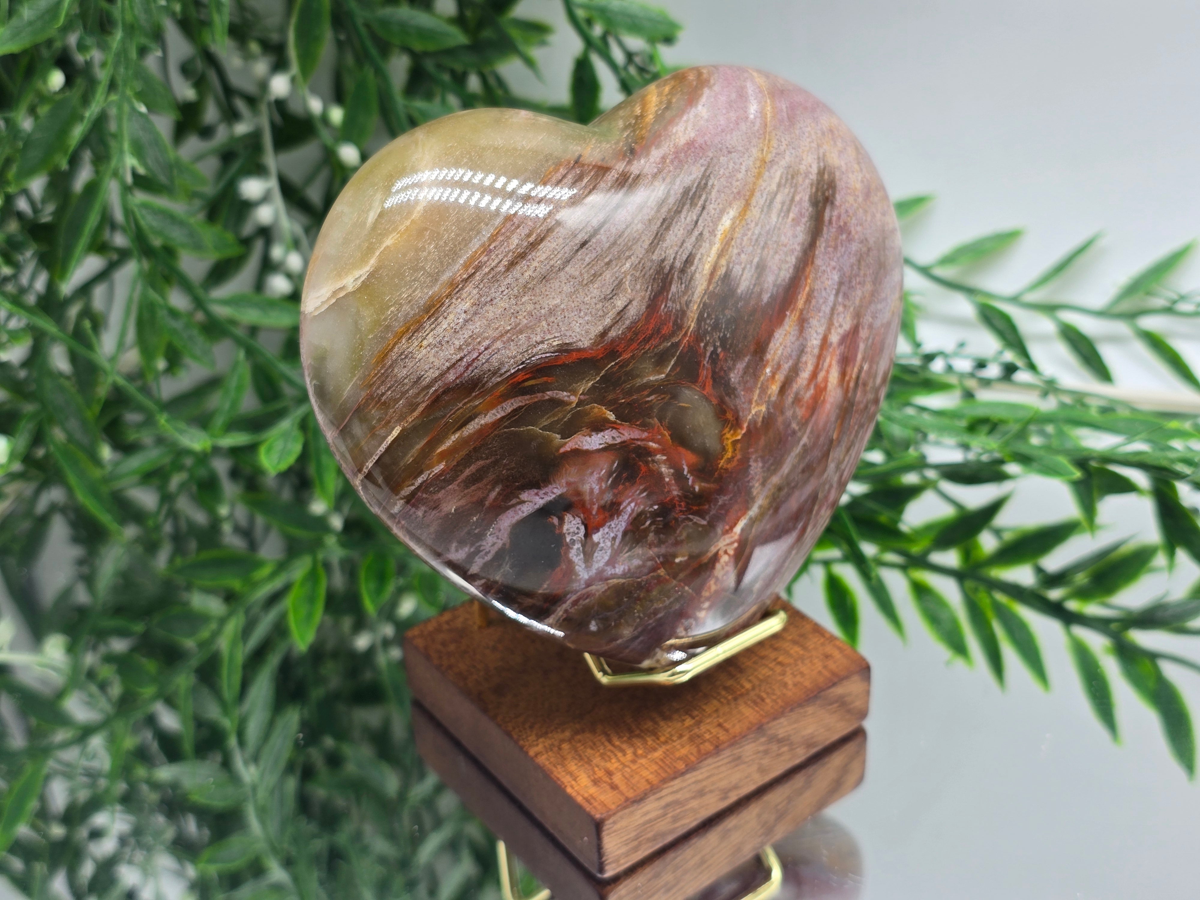 Premium Grade Madagascar Petrified Wood Heart – Stone of Stability and Enduring Success | 700g Crystal Wellness