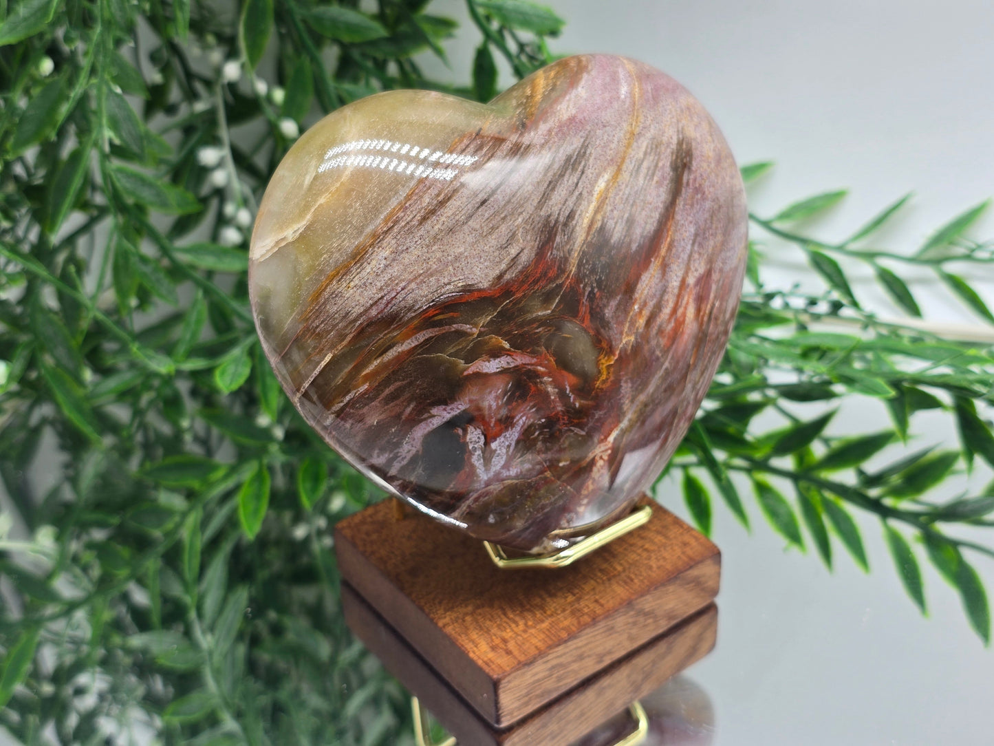 Premium Grade Madagascar Petrified Wood Heart – Stone of Stability and Enduring Success | 700g Crystal Wellness