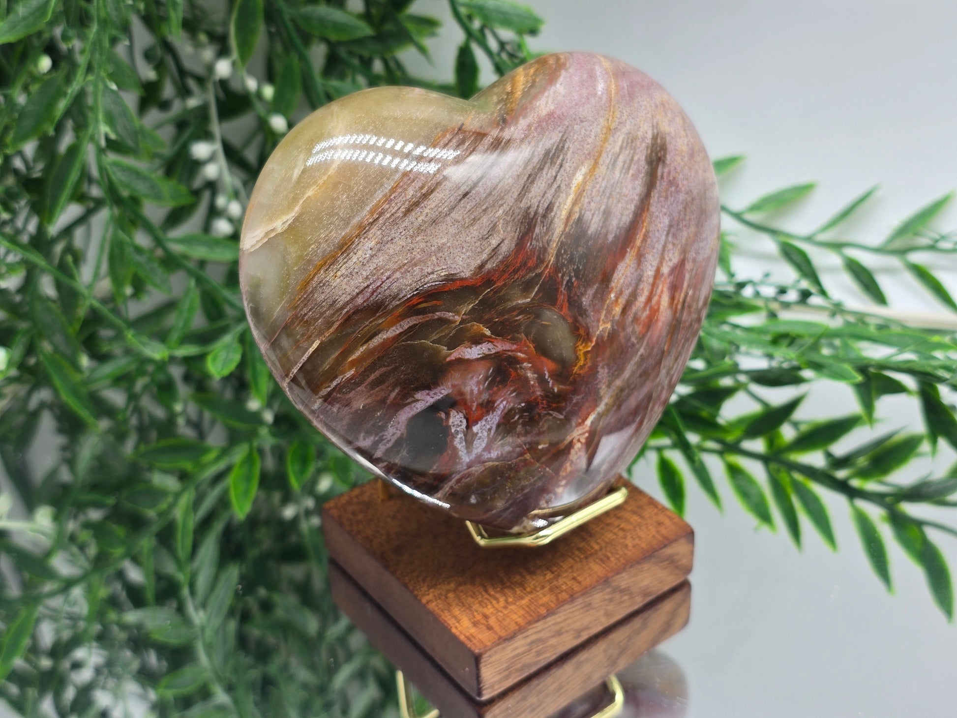 Premium Grade Madagascar Petrified Wood Heart – Stone of Stability and Enduring Success | 700g Crystal Wellness