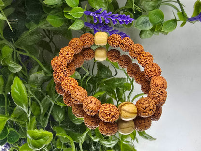 Palo Santo & Rudraksha Spiritual Purification Bracelet – 10mm Beads Crystal Wellness