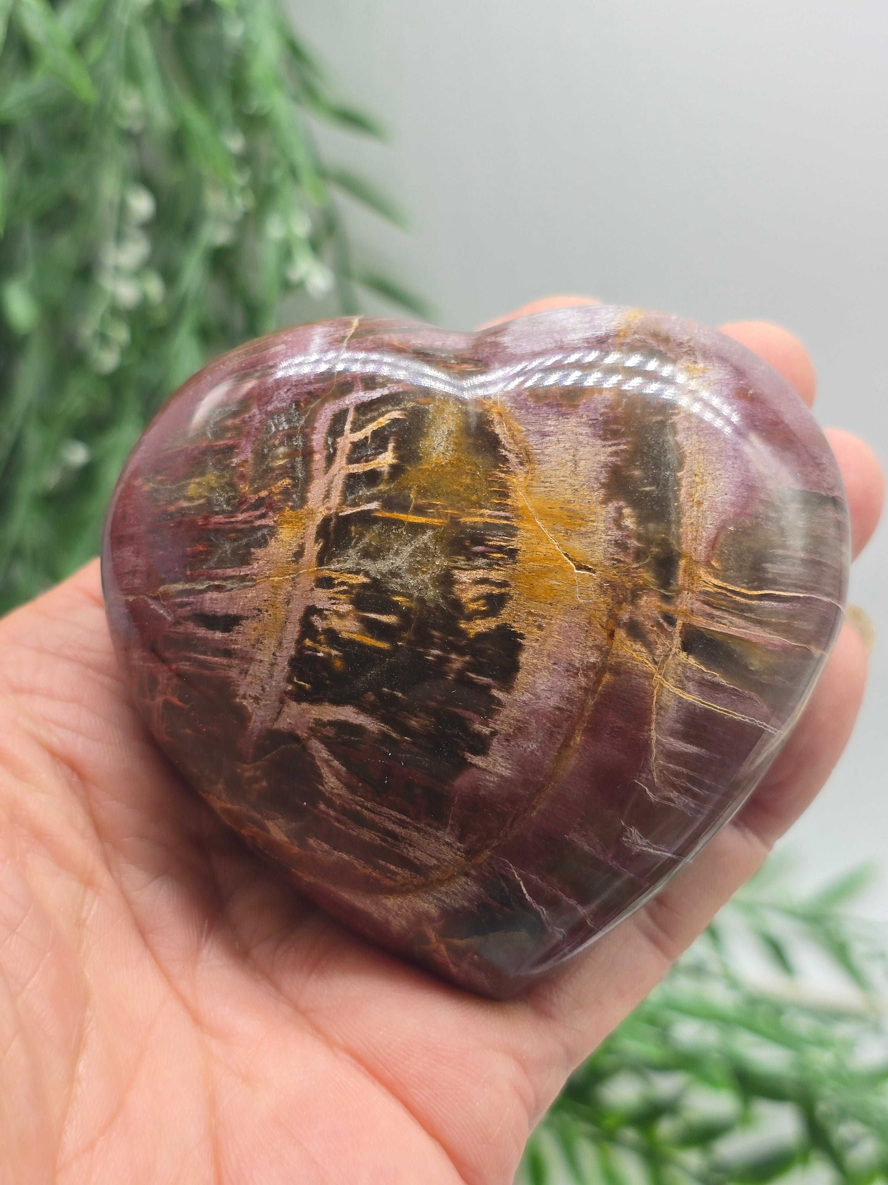 Madagascar Petrified Wood Heart – Ancient Wisdom, Grounded Success & Prosperity | 325g Crystal Wellness