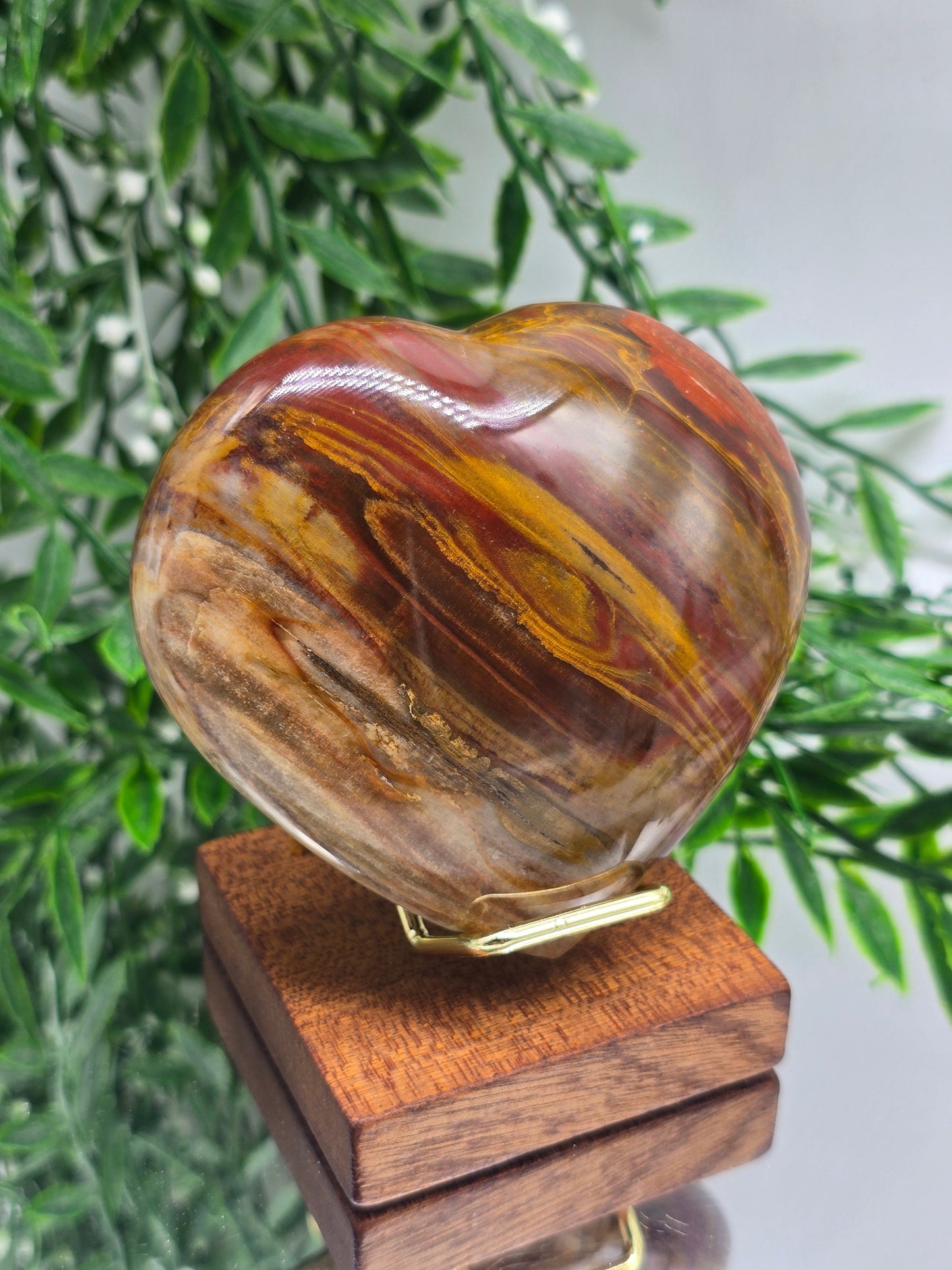 Petrified Wood Heart – Madagascar | 369g (Stand Included) Crystal Wellness