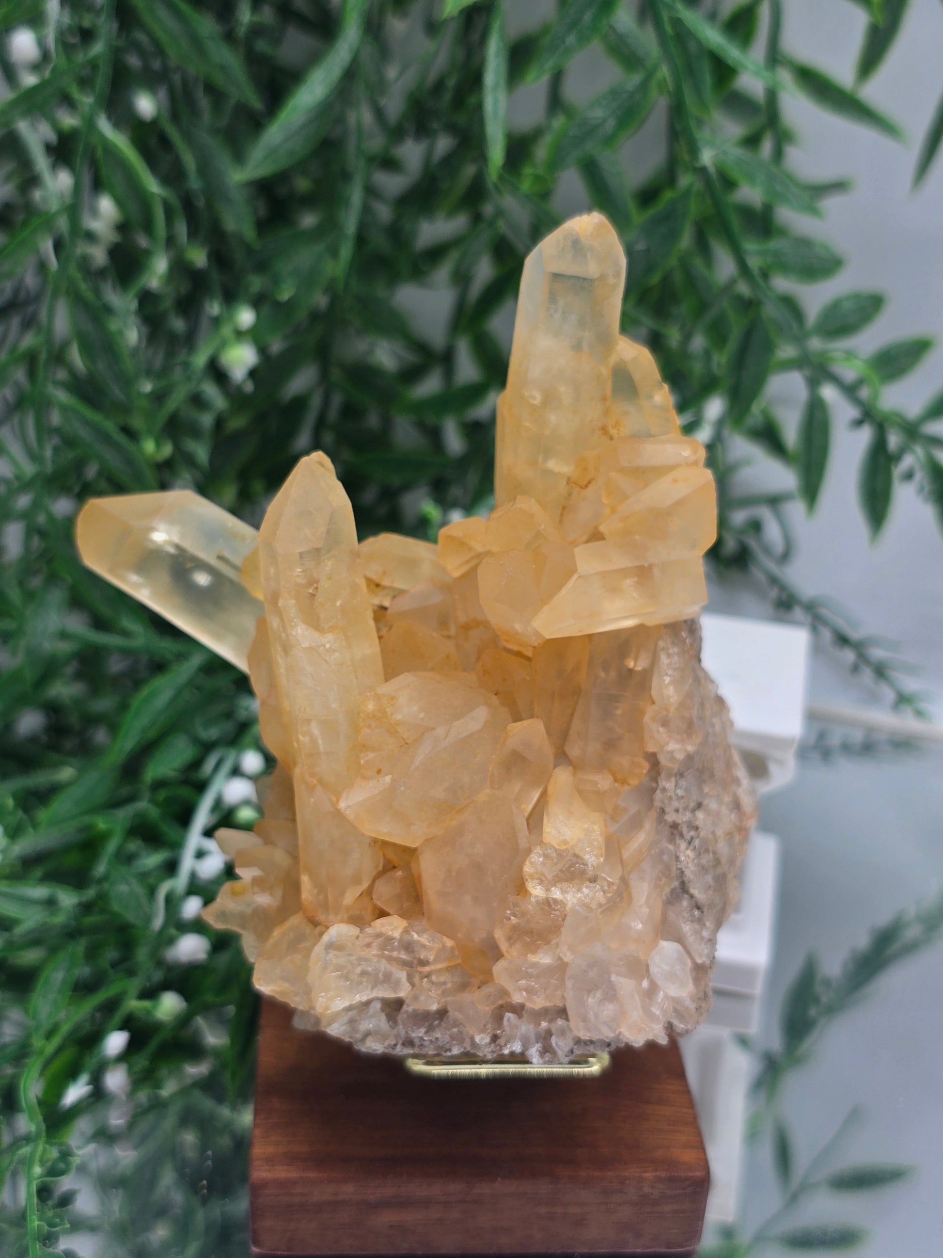Natural Citrine Crystal Cluster — Stone of Abundance & Radiant Success | 402g Crystal Wellness