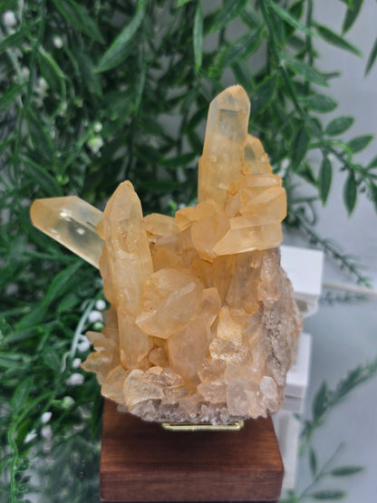 Natural Citrine Crystal Cluster — Stone of Abundance & Radiant Success | 402g Crystal Wellness