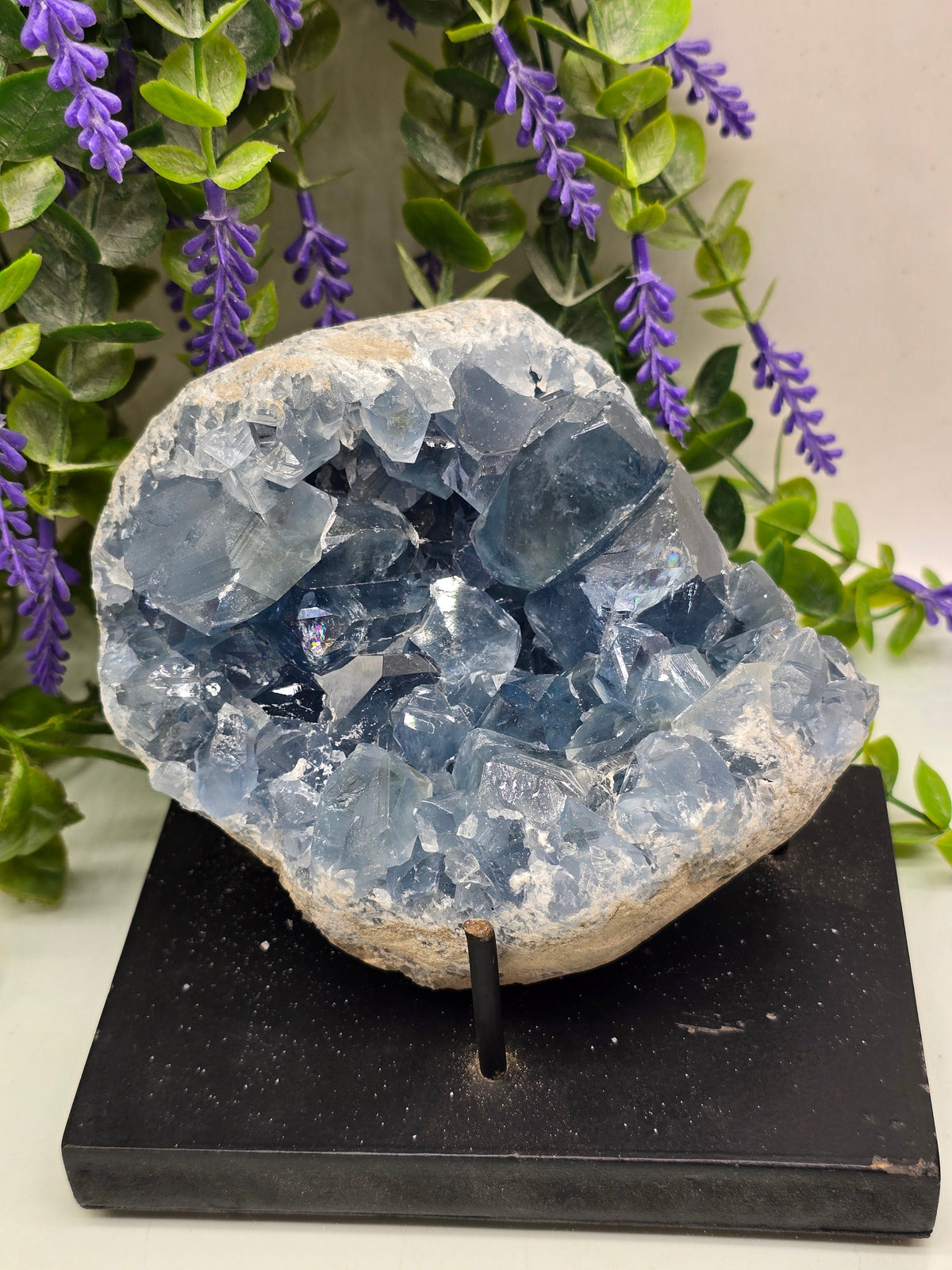 Celestite Geode High Grade – Stone of Divine Peace, Angelic Connection & Inner Harmony | 1.8kgs Crystal Wellness