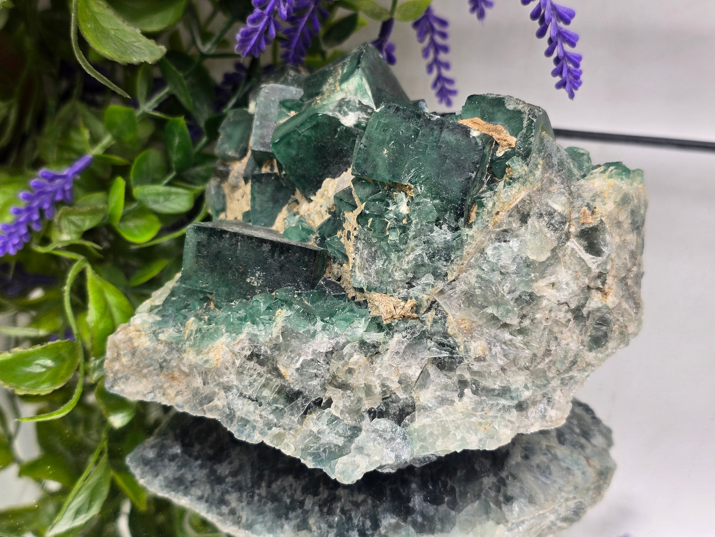 Natural Green Fluorite Cluster — Madagascar (Stone of Clarity & Renewal) Crystal Wellness