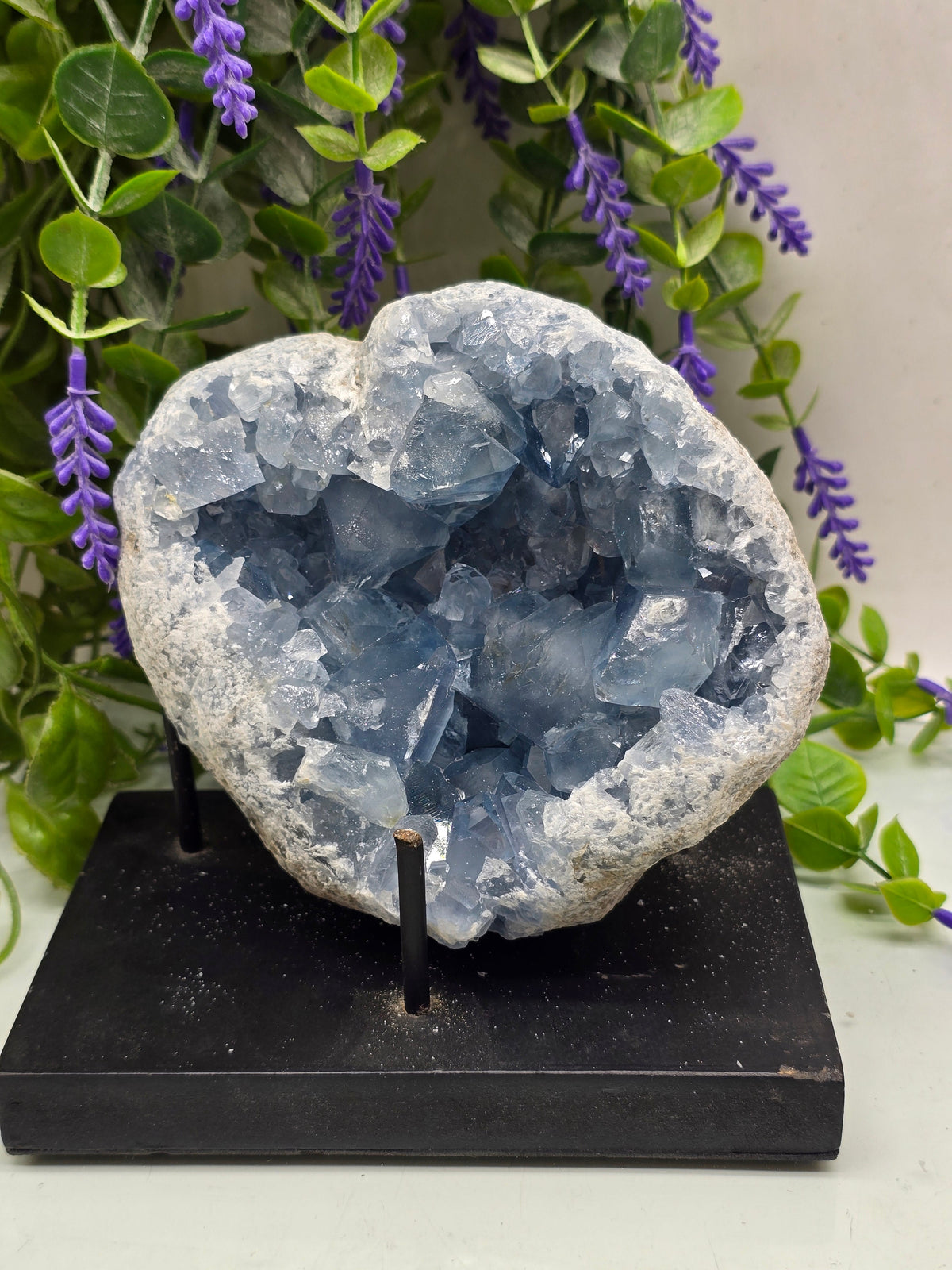Celestite Geode High Grade – Stone of Divine Peace, Angelic Connection & Inner Harmony | 2.2kgs Crystal Wellness