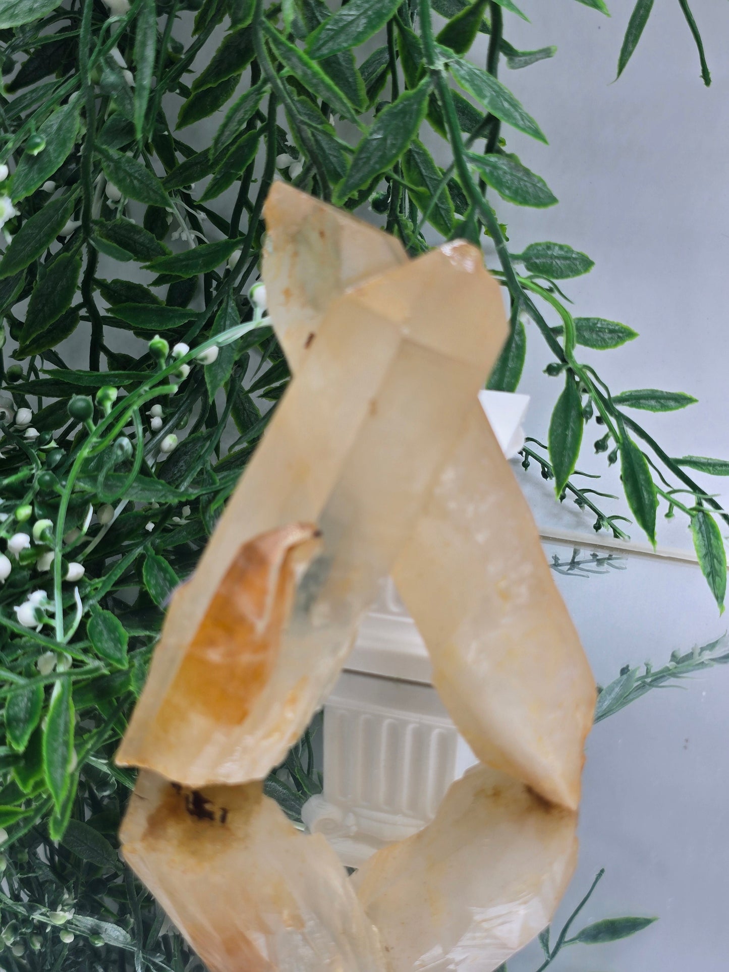 Genuine Natural Citrine Crystal Cluster | Stone of Abundance & Joy | 317g Crystal Wellness