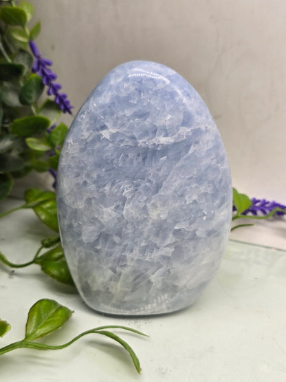 Blue Calcite Freeform – Madagascan Serenity & Renewal Stone (587g 11x8x3cm) Crystal Wellness