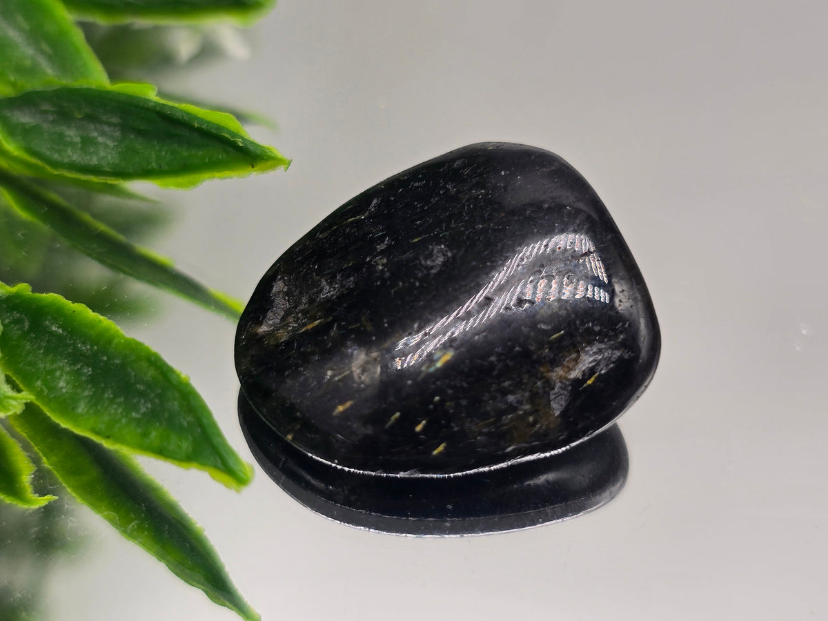 Genuine Nuumite Tumbled Stone (Stone of Ancient Protection & Personal Power) Crystal Wellness