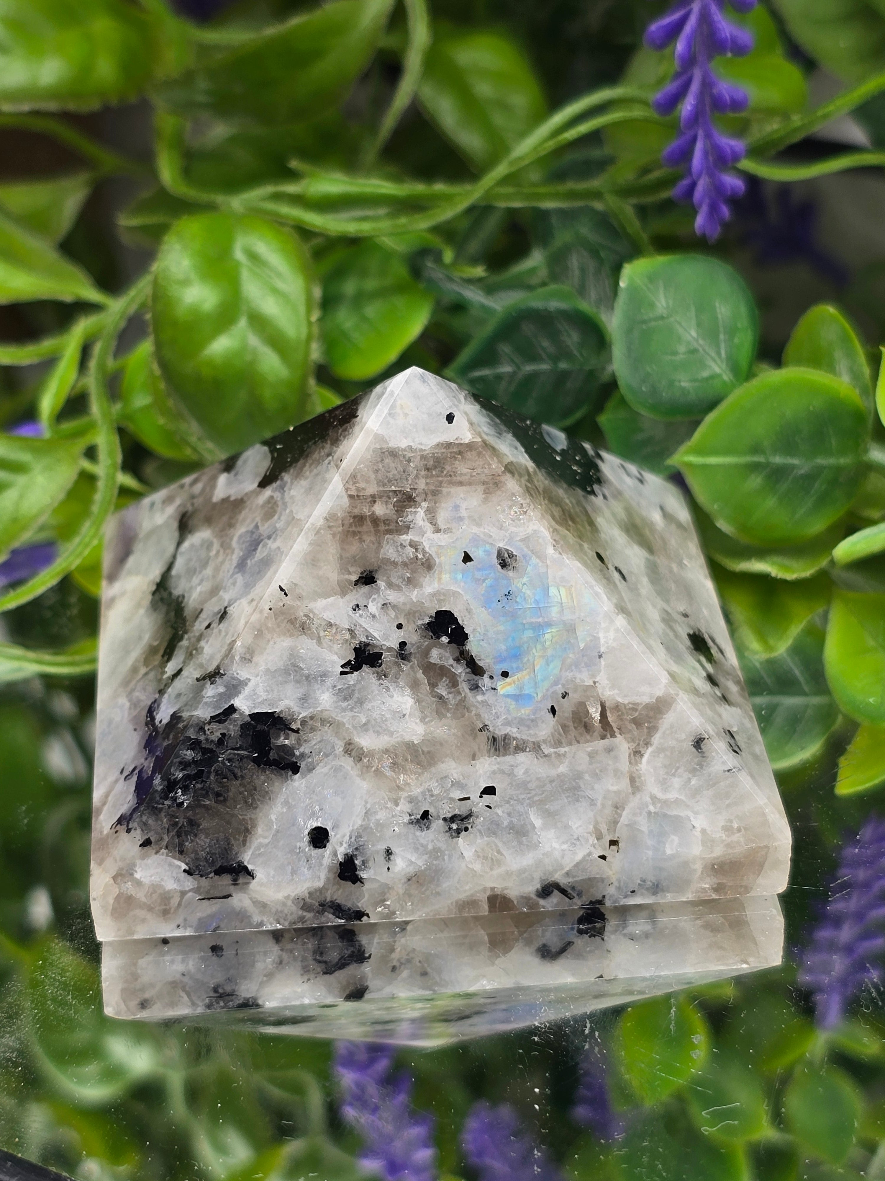 Untitled Sep16_15:44:29 Crystal Wellness