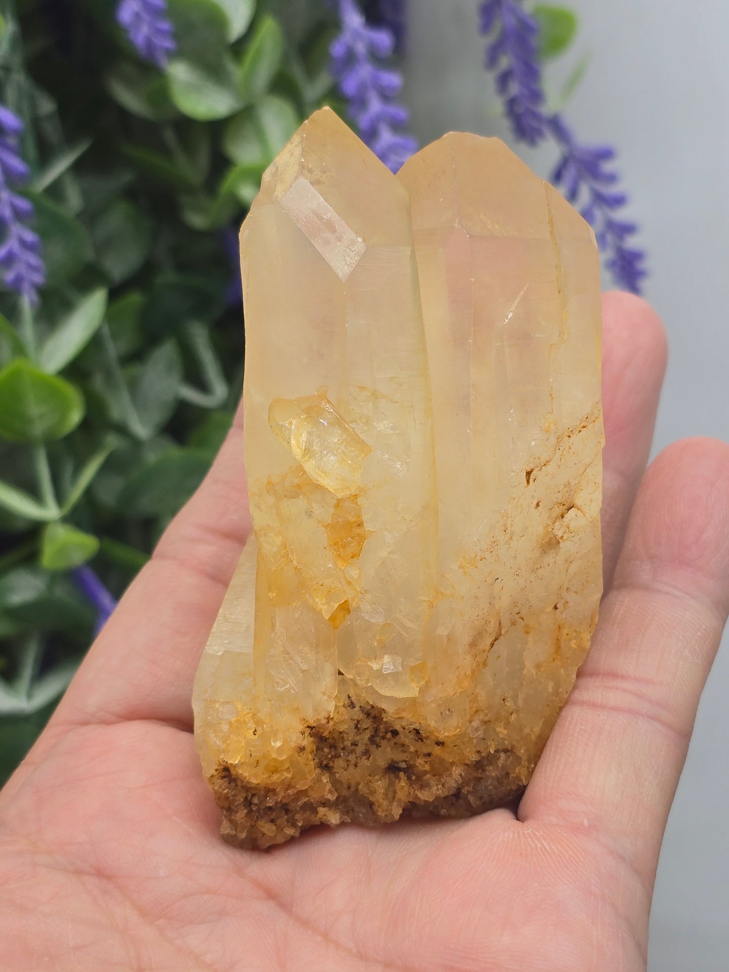 Madagascar Genuine Natural Citrine Cluster – 115g (Stone of Abundance, Confidence & Manifestation) Crystal Wellness