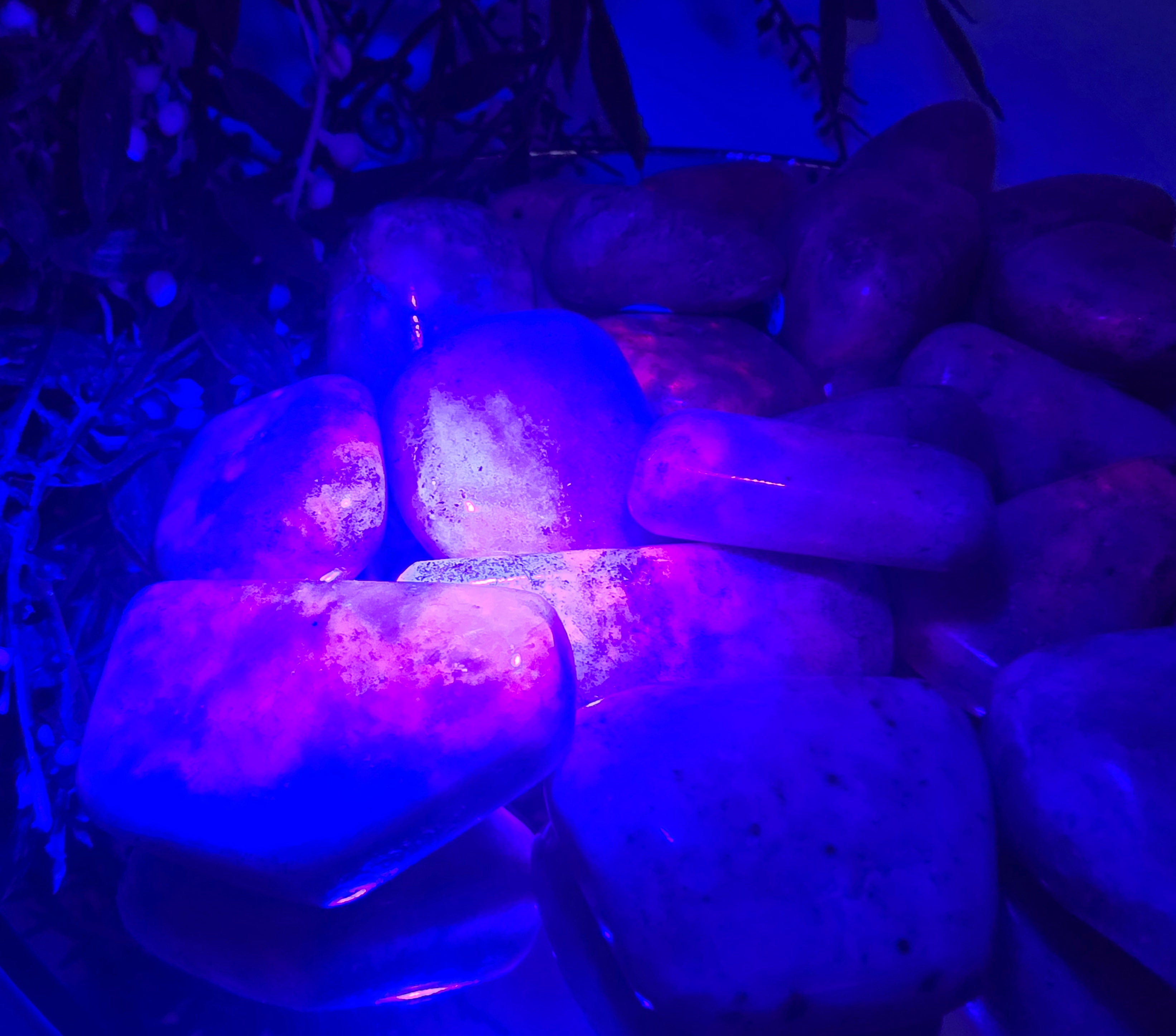 Untitled 29Oct_18:20 Crystal Wellness