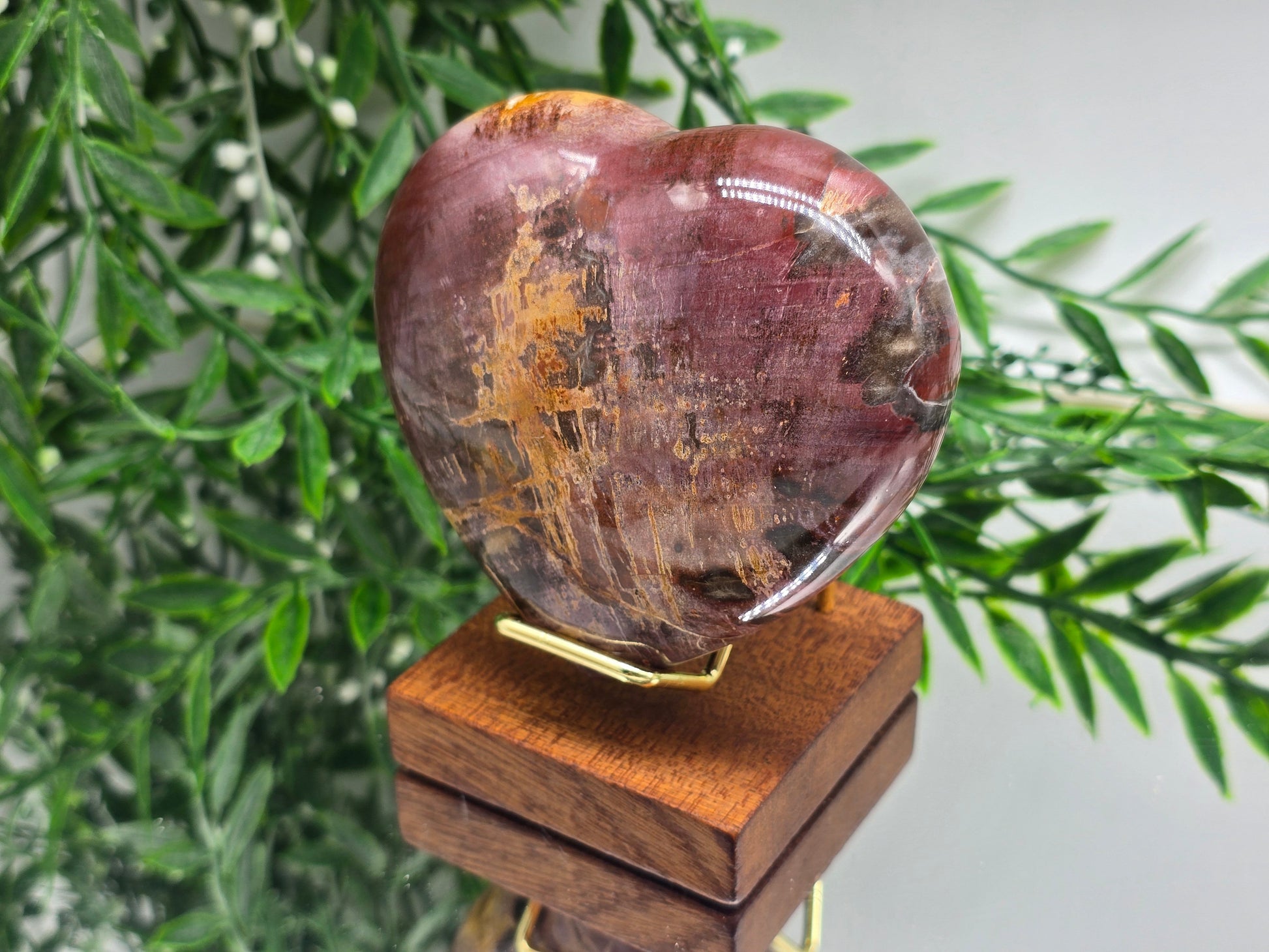 Premium Grade Madagascar Petrified Wood Heart with Wooden Stand – 480g (Stone of Stability and Enduring Success) Crystal Wellness