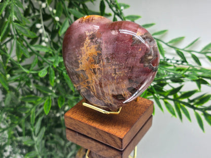 Premium Grade Madagascar Petrified Wood Heart with Wooden Stand – 480g (Stone of Stability and Enduring Success) Crystal Wellness