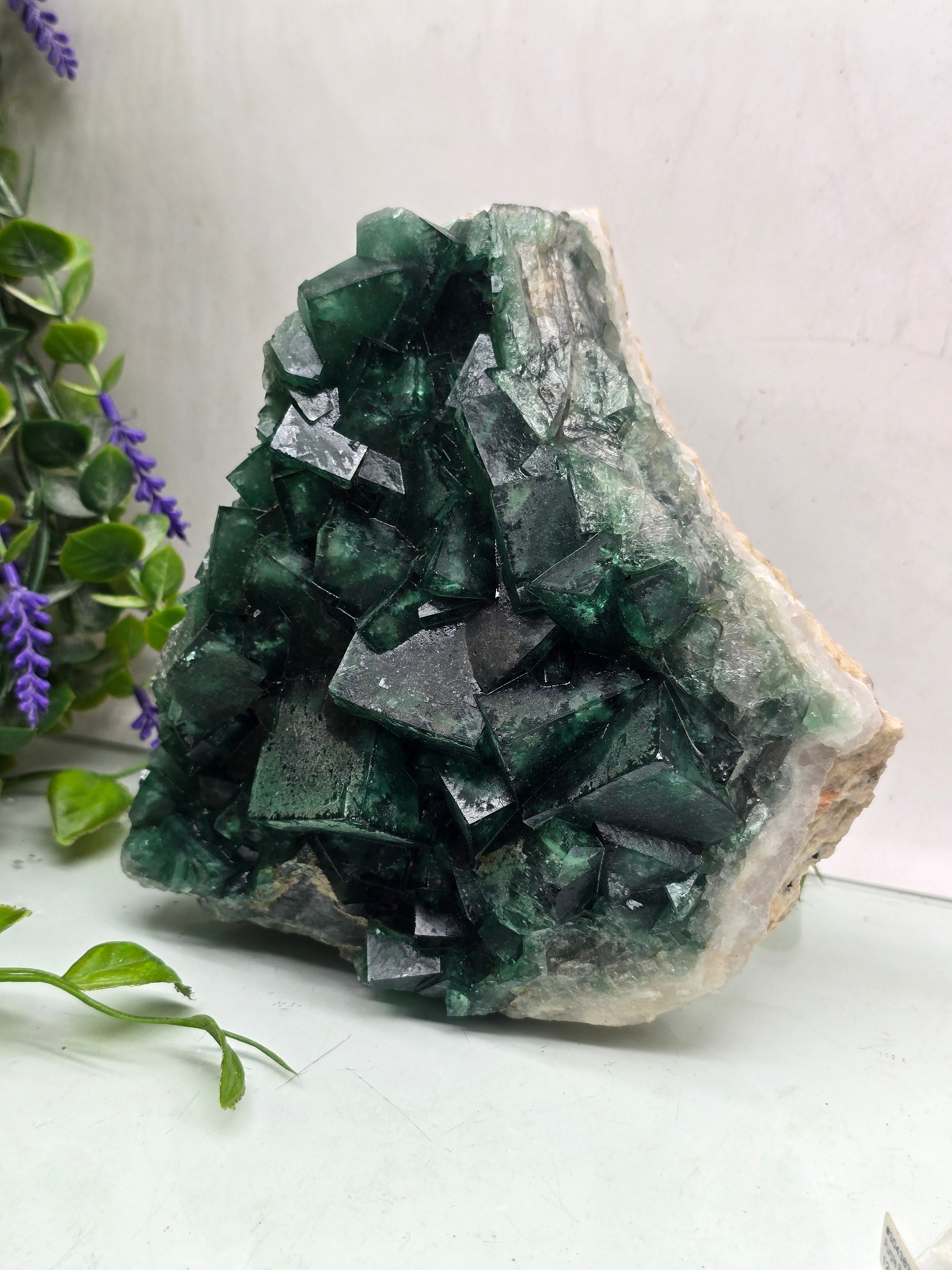 Green Fluorite Cluster Specimen Premium Quality(Stone of Clarity & Heart Alignment) Crystal Wellness