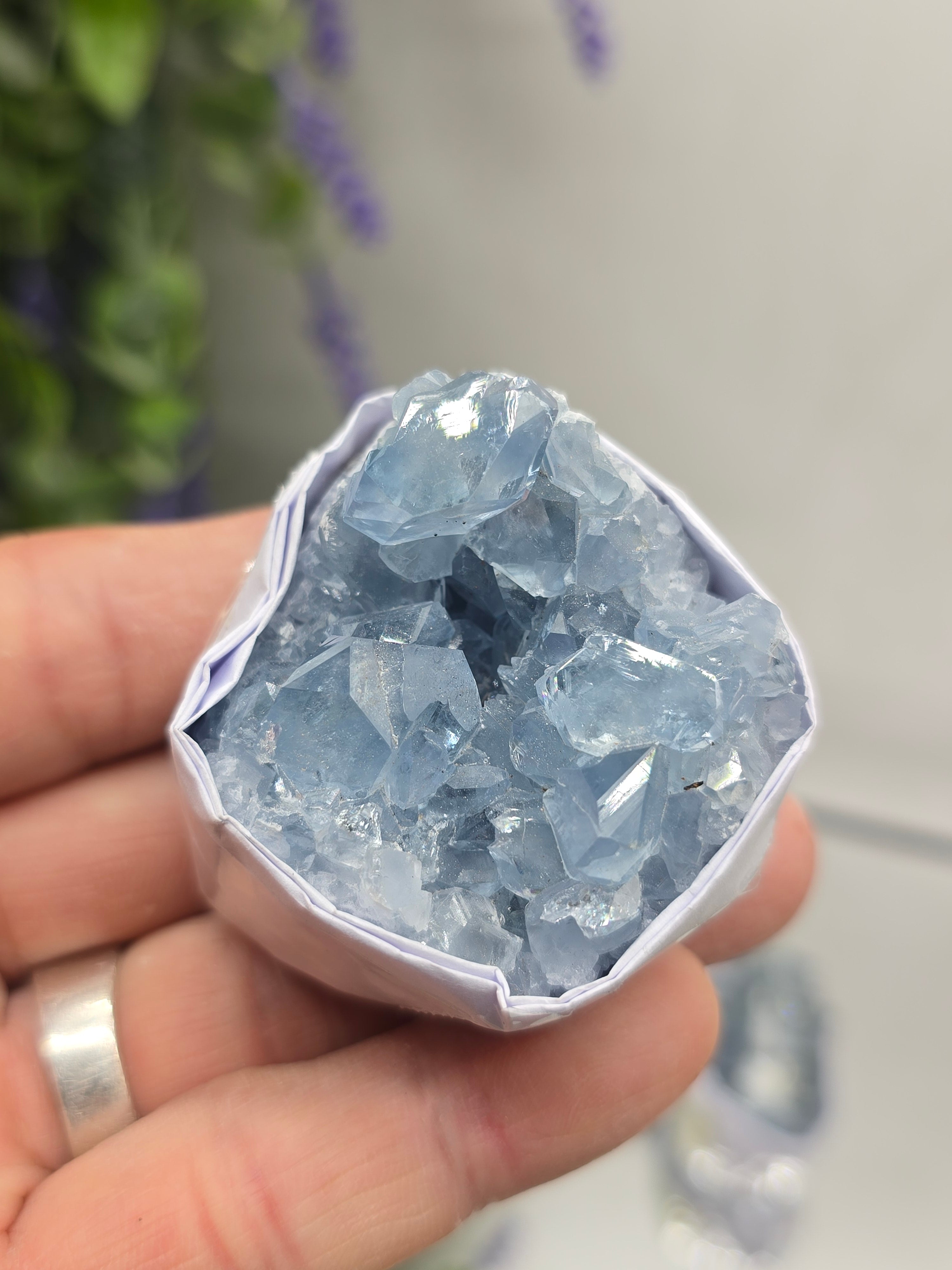 Celestite Small Cluster Collection – Natural Sky Blue Crystal Variety Sizes Crystal Wellness