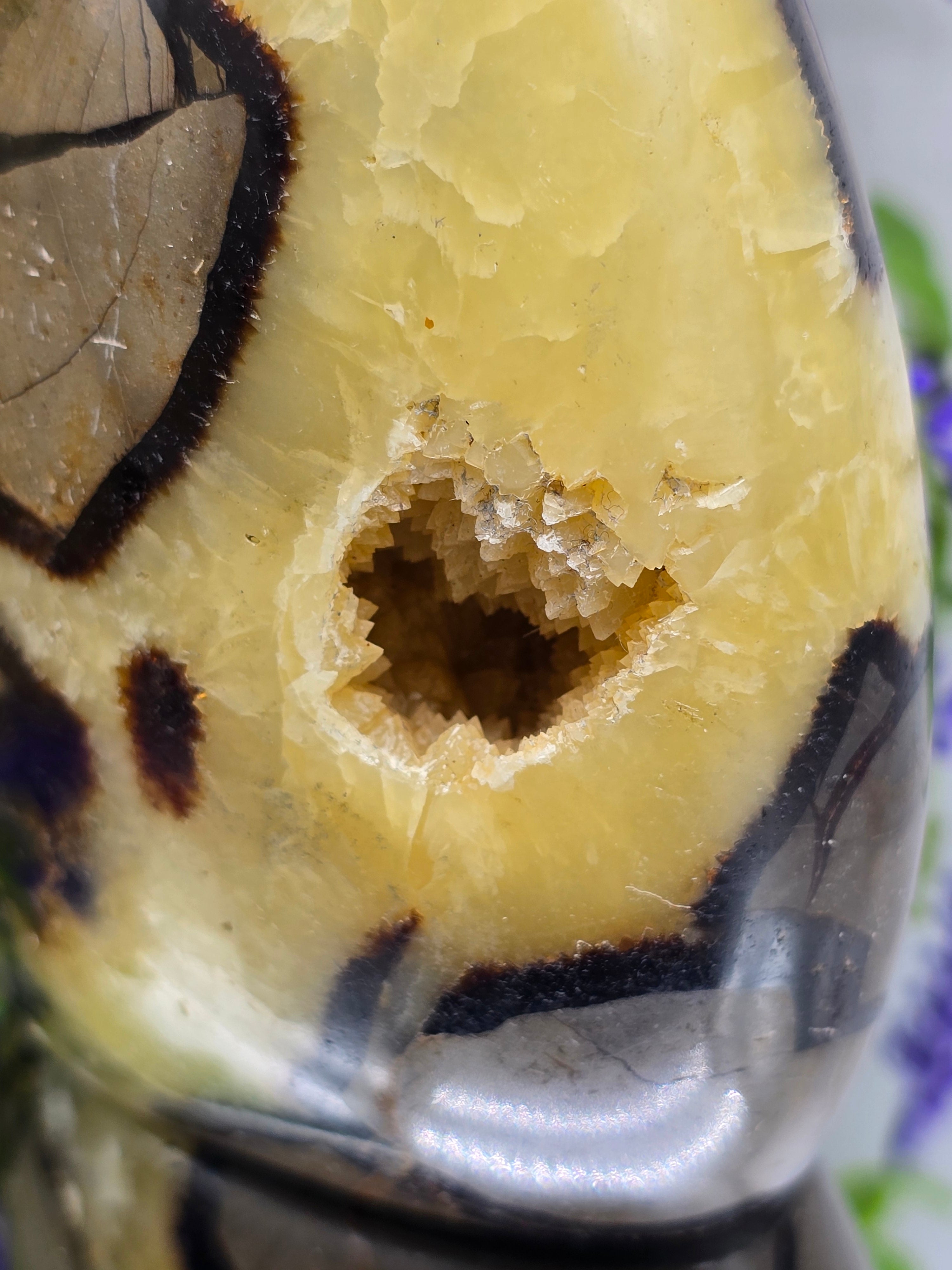 Septarian Freeform High Grade – 741g | Stone of Dragon, Grounding, Confidence & Emotional Balance Crystal Wellness