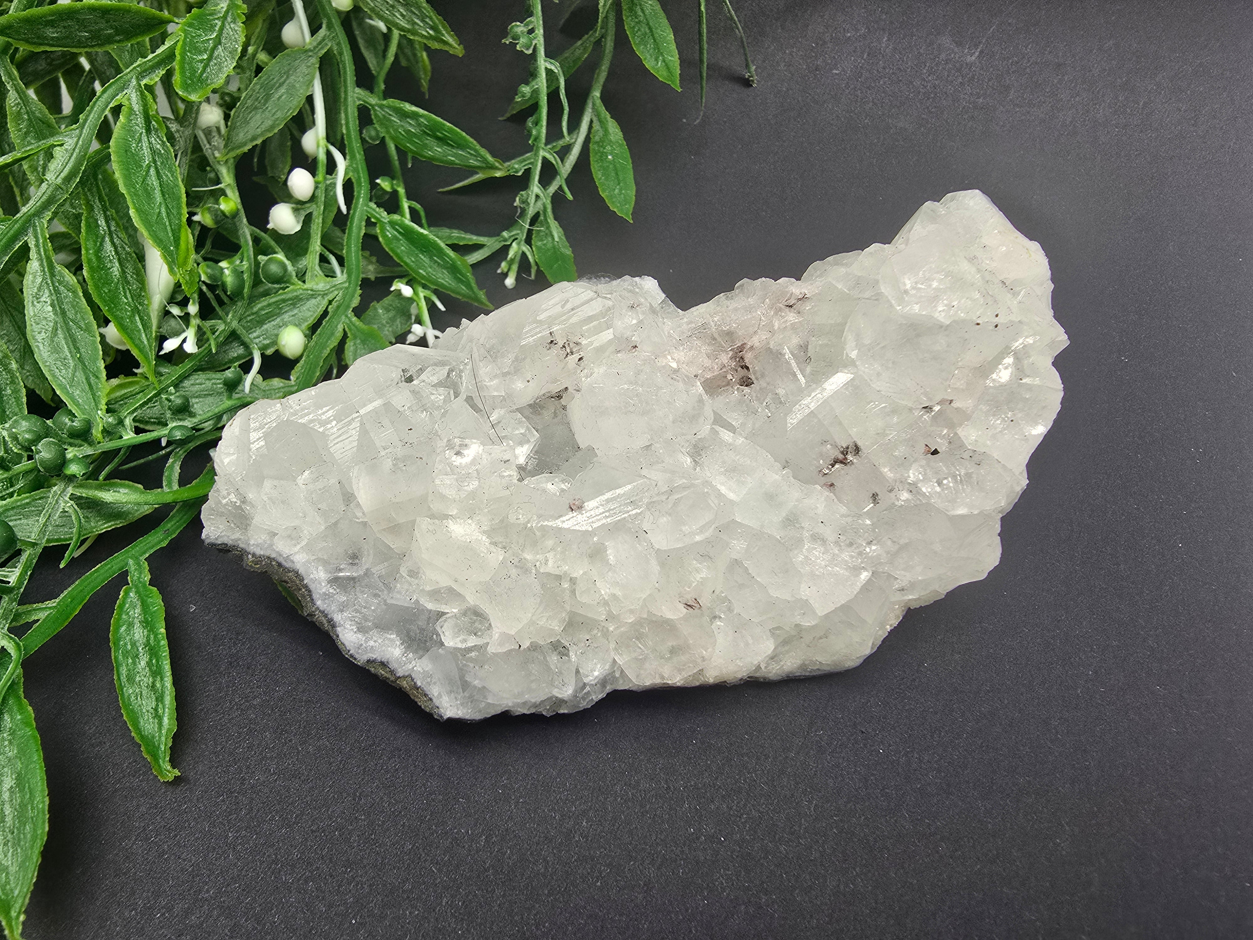 Apophyllite #6 Crystal Wellness
