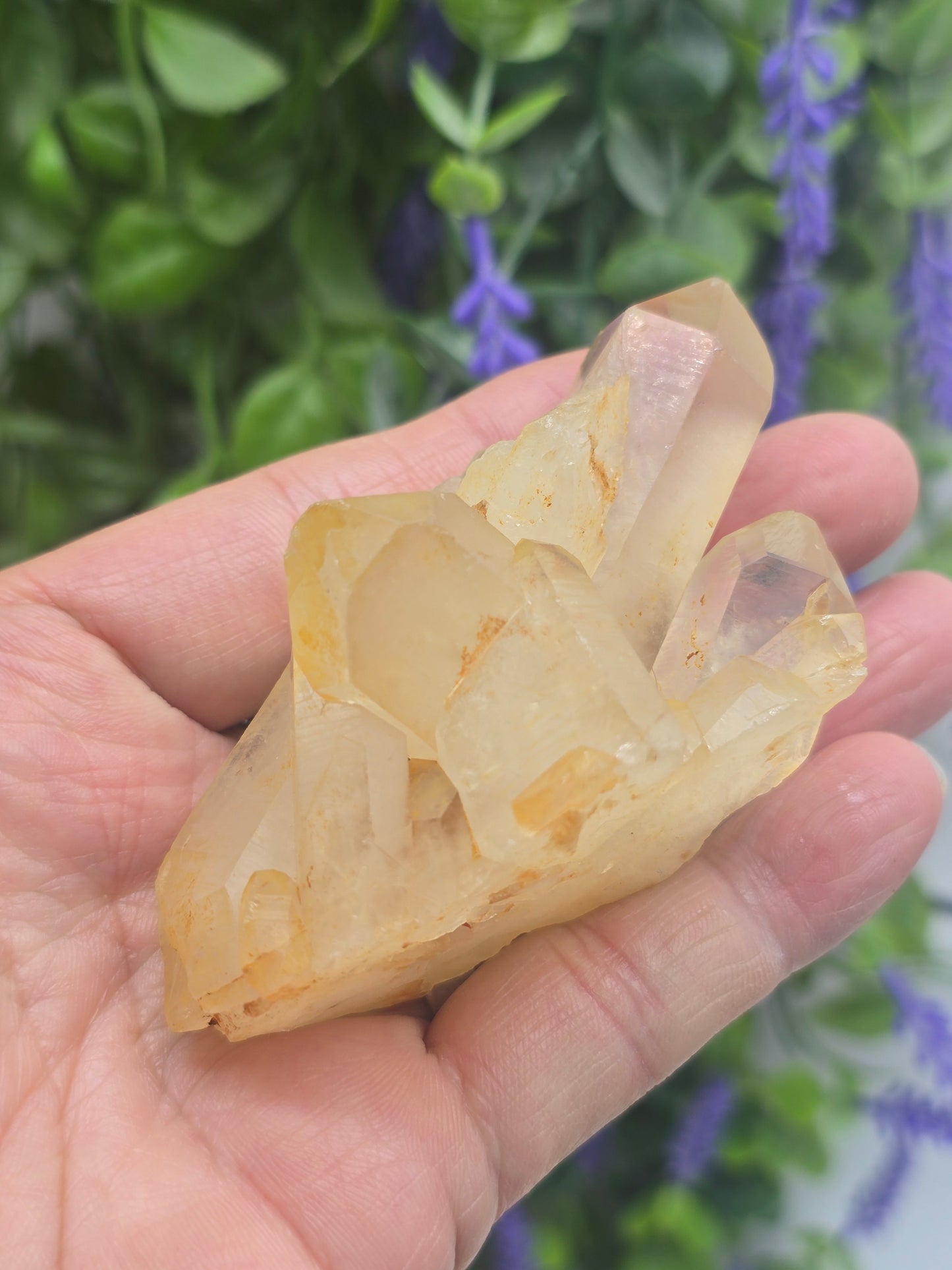 Natural Citrine Cluster – Stone of Abundance, Joy & Personal Empowerment Crystal Wellness