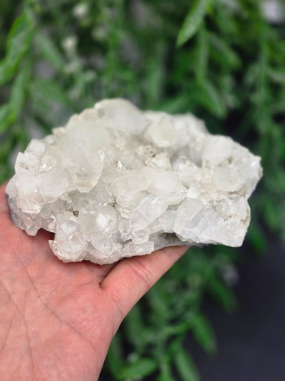 Apophyllite #4 Crystal Wellness