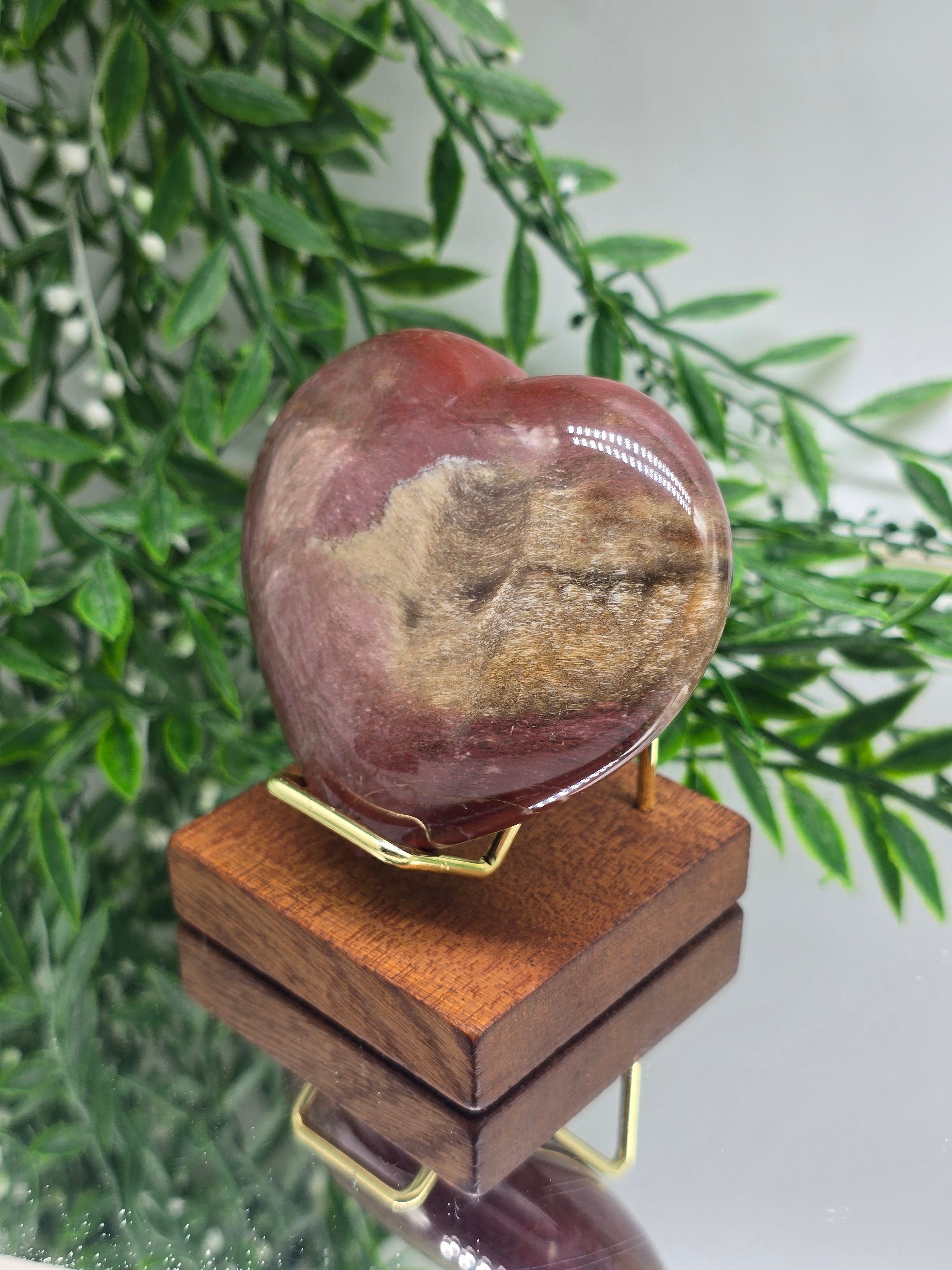 Petrified Wood Heart – Madagascar | 254g (Stand Included) Crystal Wellness