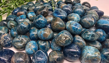 Blue Apatite Tumbled Stone Crystal Wellness