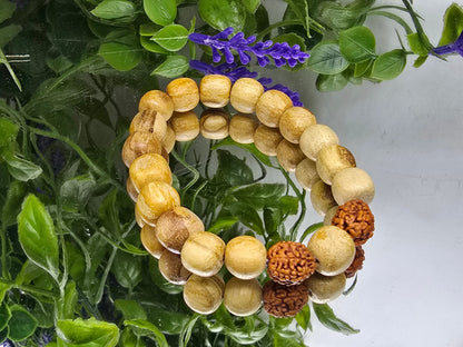 Palo Santo & Rudraksha Spiritual Purification Bracelet – 10mm Beads Crystal Wellness