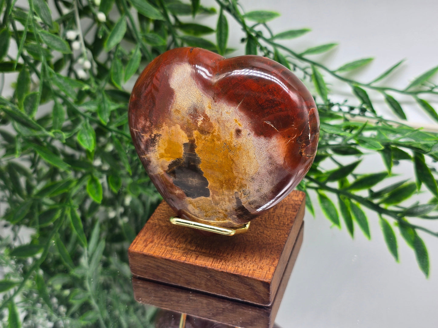 Premium Grade Madagascar Petrified Wood Heart – Stone of Stability and Enduring Success | 317g Crystal Wellness