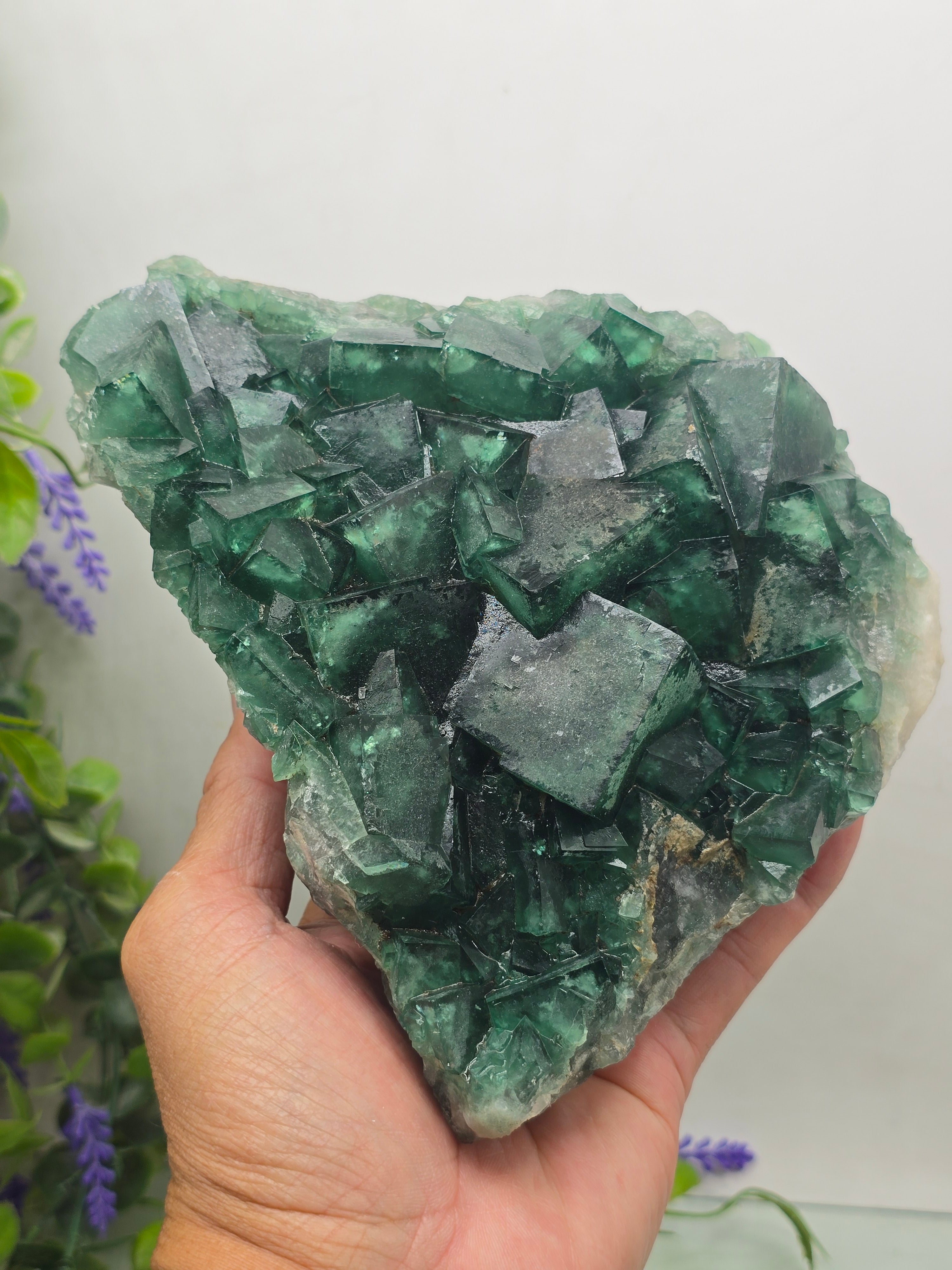 Green Fluorite Cluster Specimen Premium Quality(Stone of Clarity & Heart Alignment) Crystal Wellness