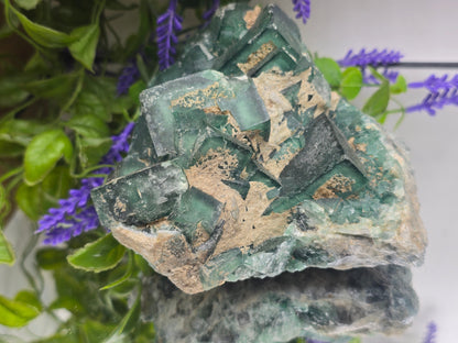 Natural Green Fluorite Cluster — Madagascar (Stone of Clarity & Renewal) Crystal Wellness