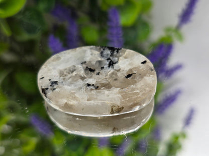 Rainbow Moonstone Worry Stone (Stone of Intuition & New Beginnings) Crystal Wellness