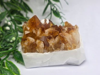 Citrine Cluster Crystal Wellness