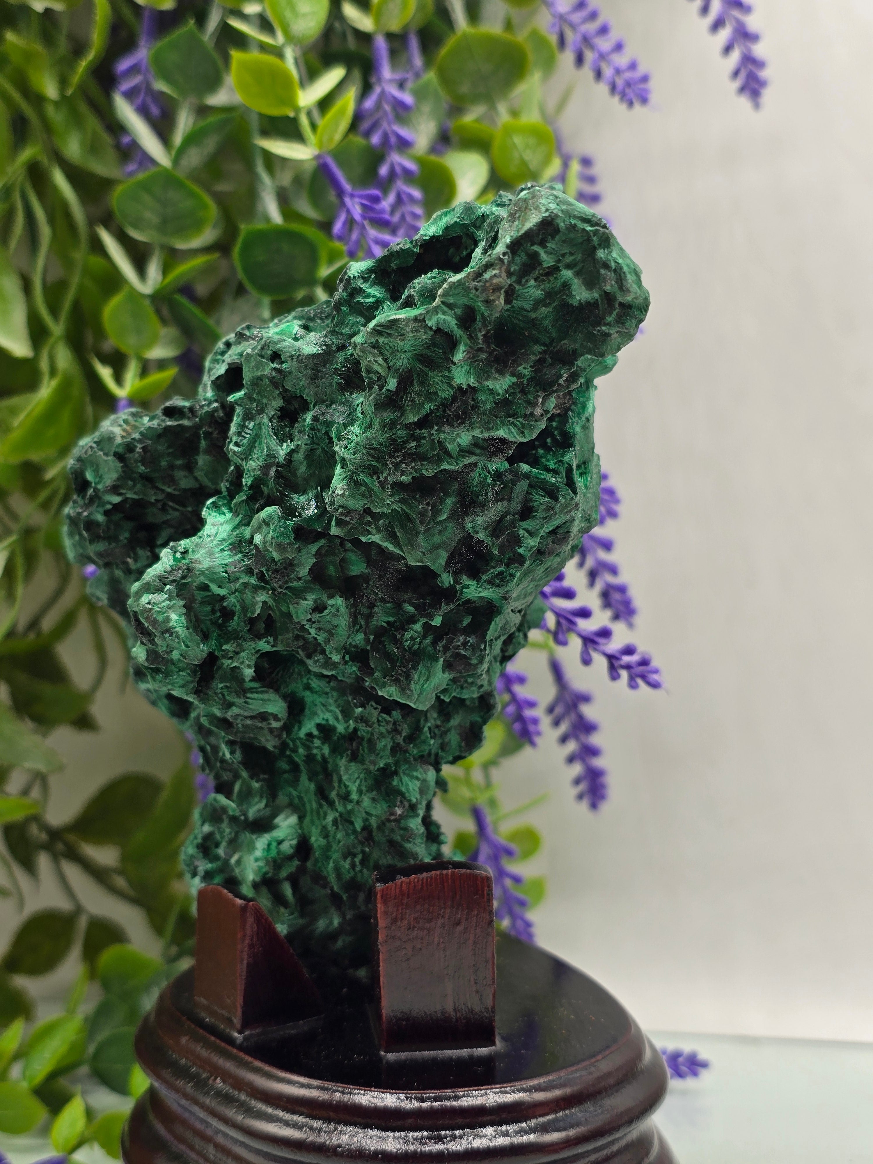 Luxury High-Grade Fibrous Malachite Freeform Display Specimen – Stone of Transformation & Empowered Growth Crystal Wellness