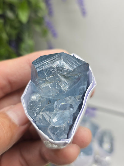 Celestite Small Cluster Collection – Natural Sky Blue Crystal Variety Sizes Crystal Wellness