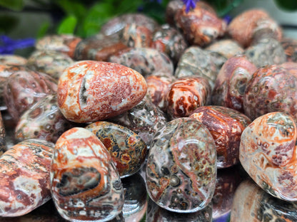 Leopard Jasper Tumbled Stone – Stone of Courage, Instinct & Animal Spirit Connection Crystal Wellness