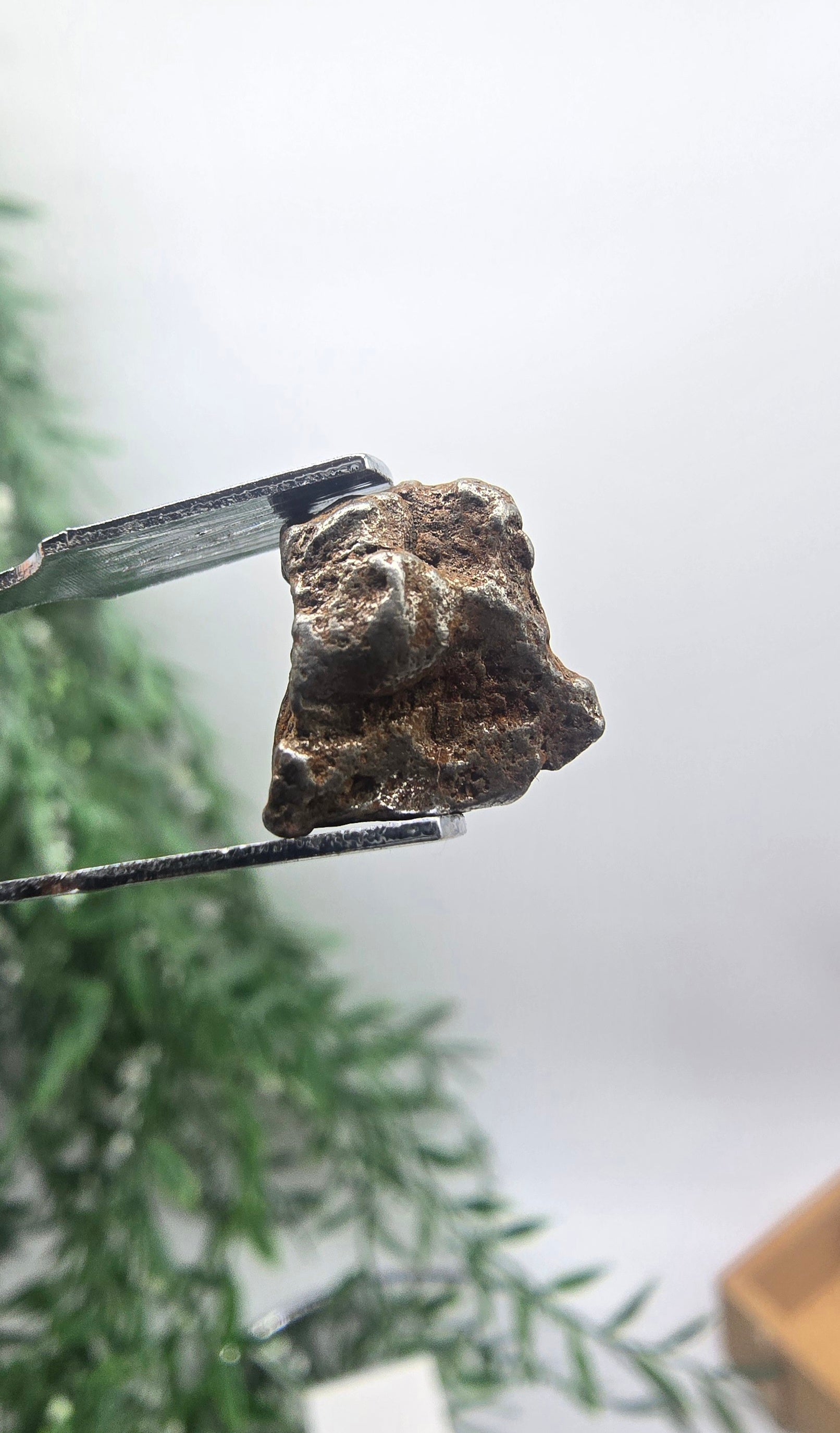 ✨ Sikhote-Alin Iron Meteorite – 2.77g | Starfire of Ancient Universes Crystal Wellness