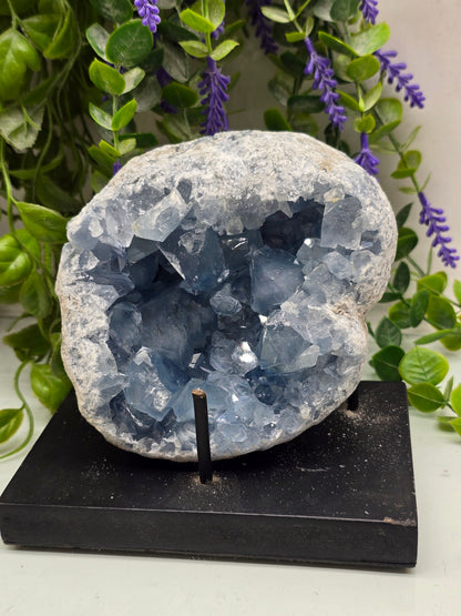 Celestite Geode High Grade – Stone of Divine Peace, Angelic Connection & Inner Harmony | 2.2kgs Crystal Wellness