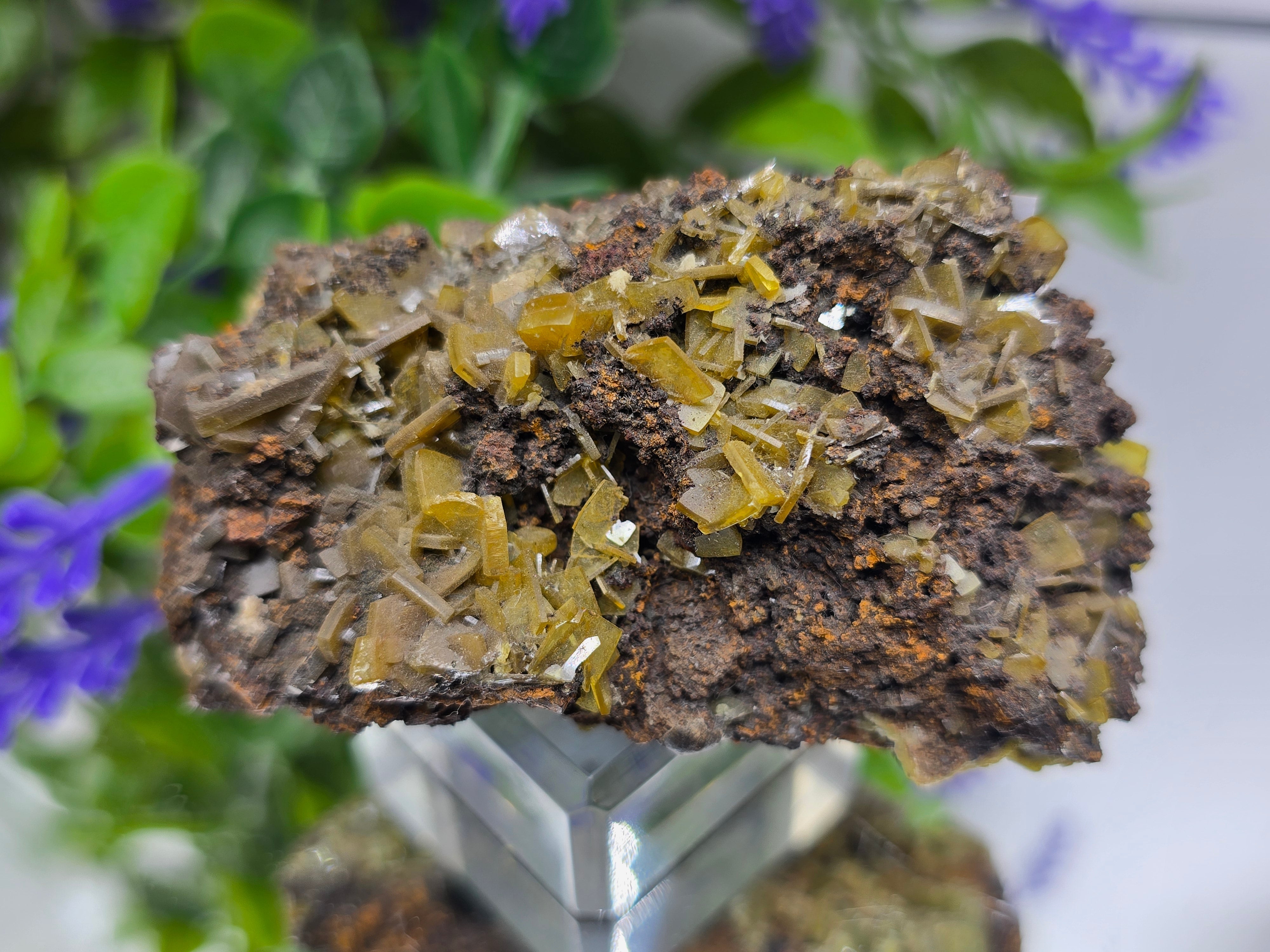 Natural Rare Wulfenite on Matrix – Golden Vision, Transformation & Inspired Action Crystal Wellness
