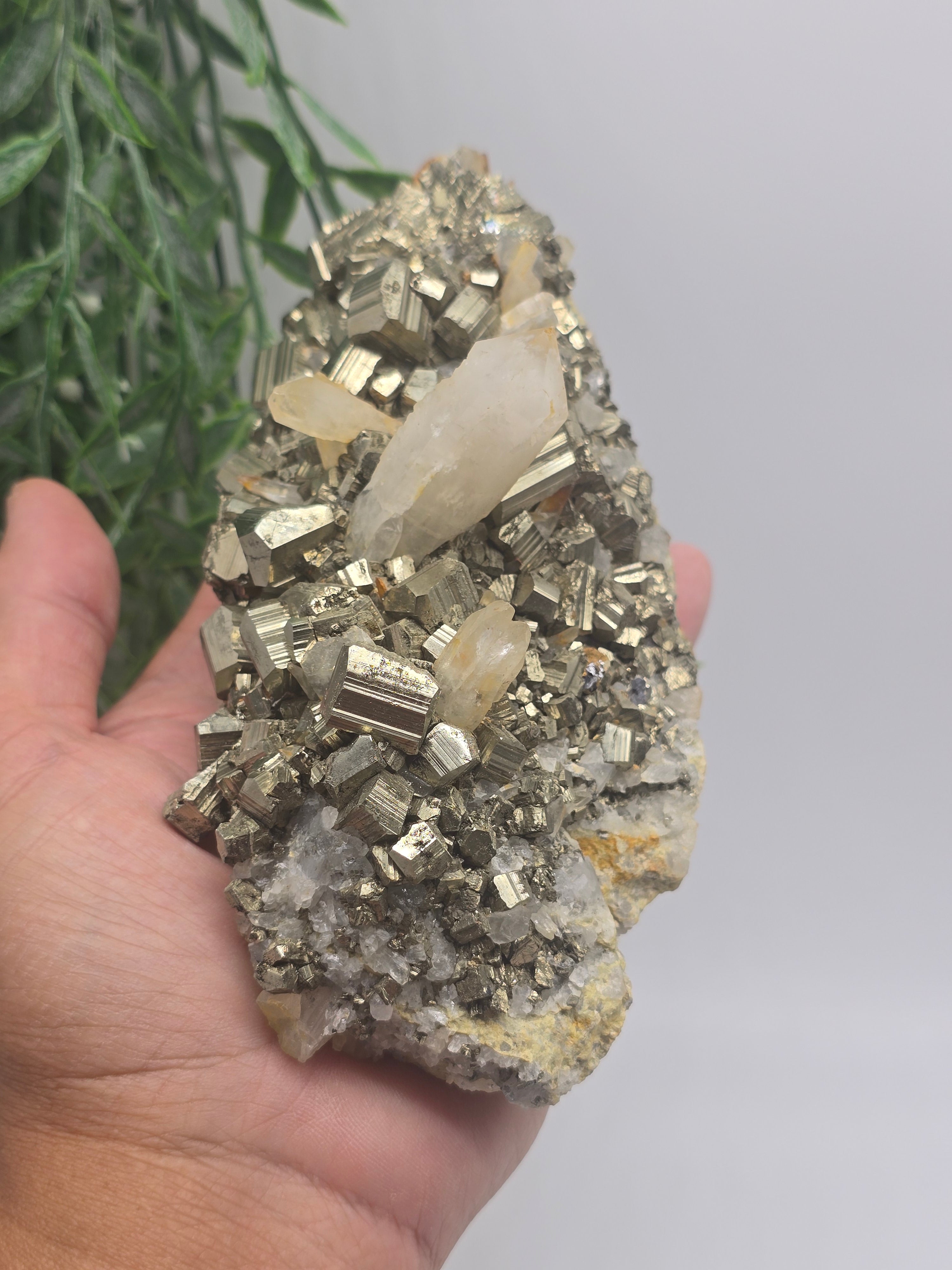 Pyrite with Clear Quartz Point AAA Grade Rare 14x9x8cm 1kg Crystal Wellness