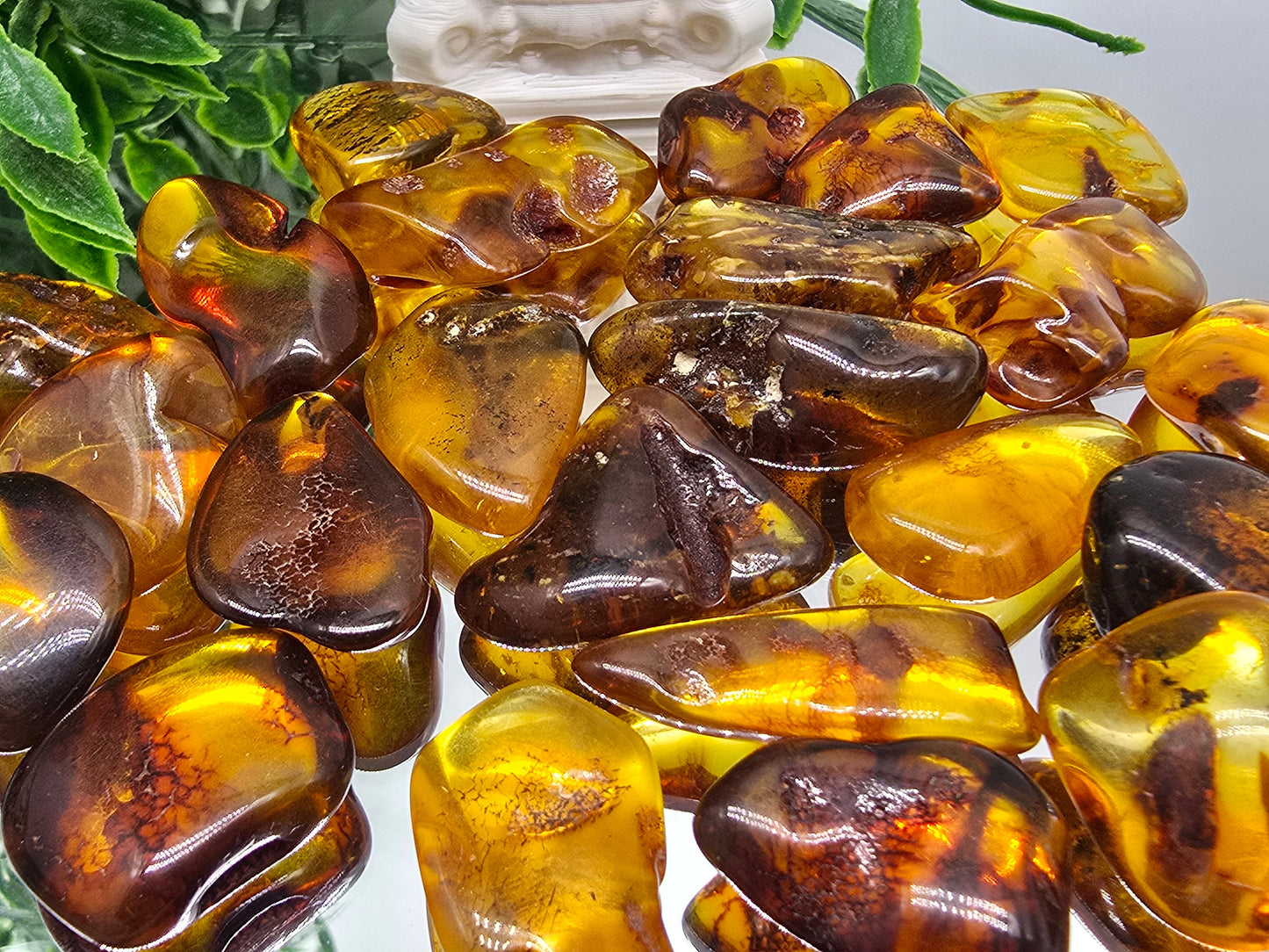 Baltic Amber Tumbled Stones (Stone of Ancient Light & Vital Life Force) Crystal Wellness
